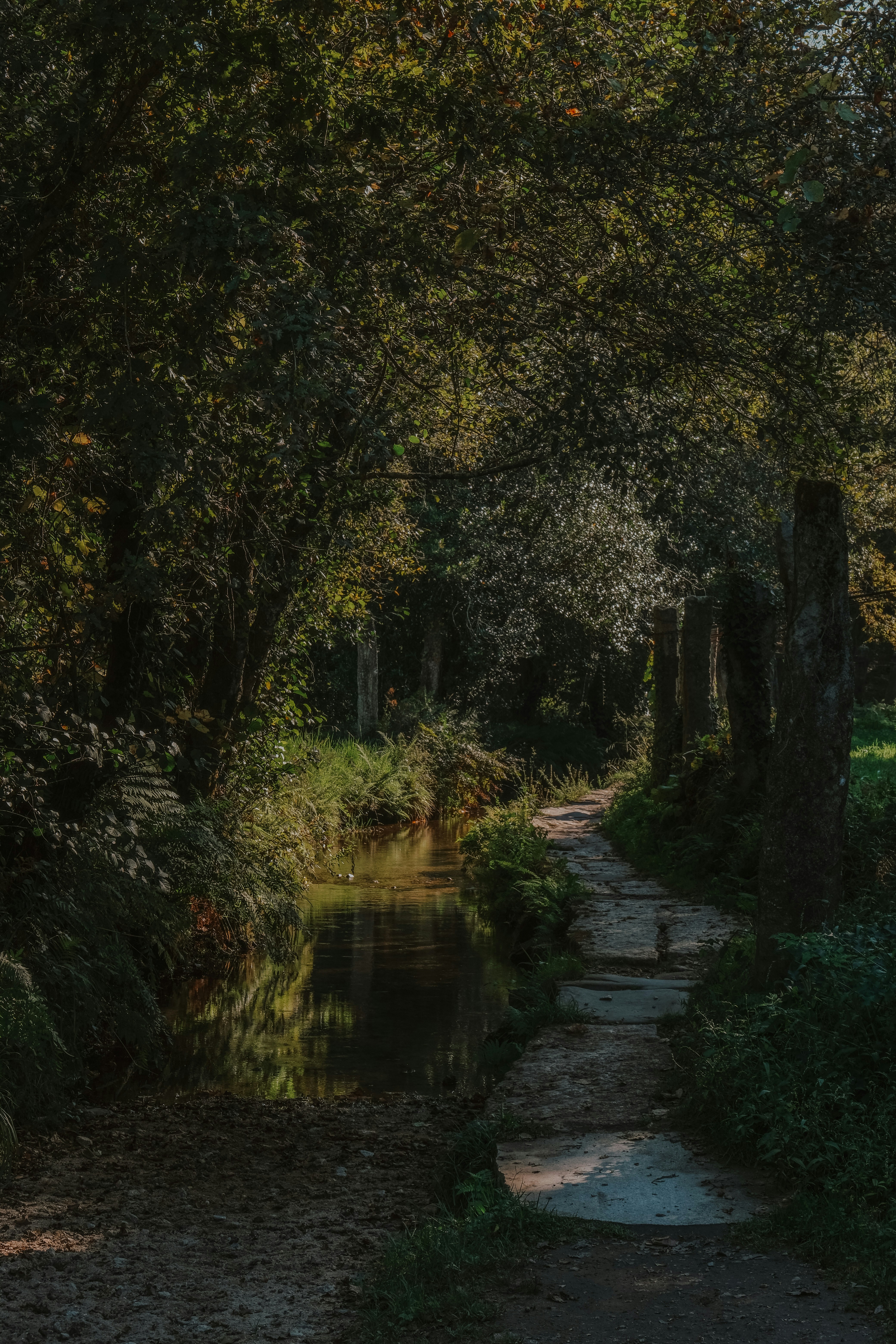 Photo by paolomilesi