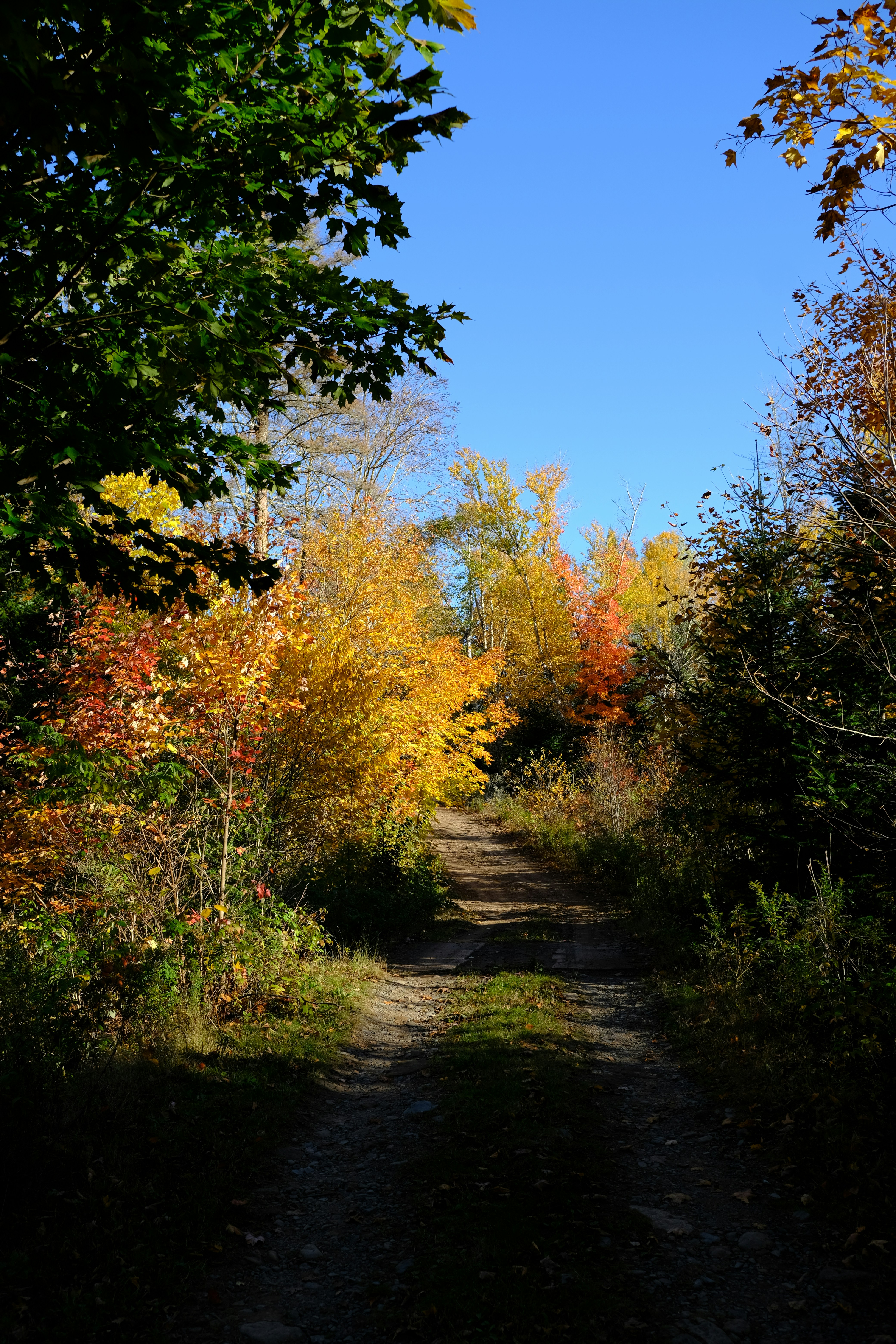 Photo by cole_gregory