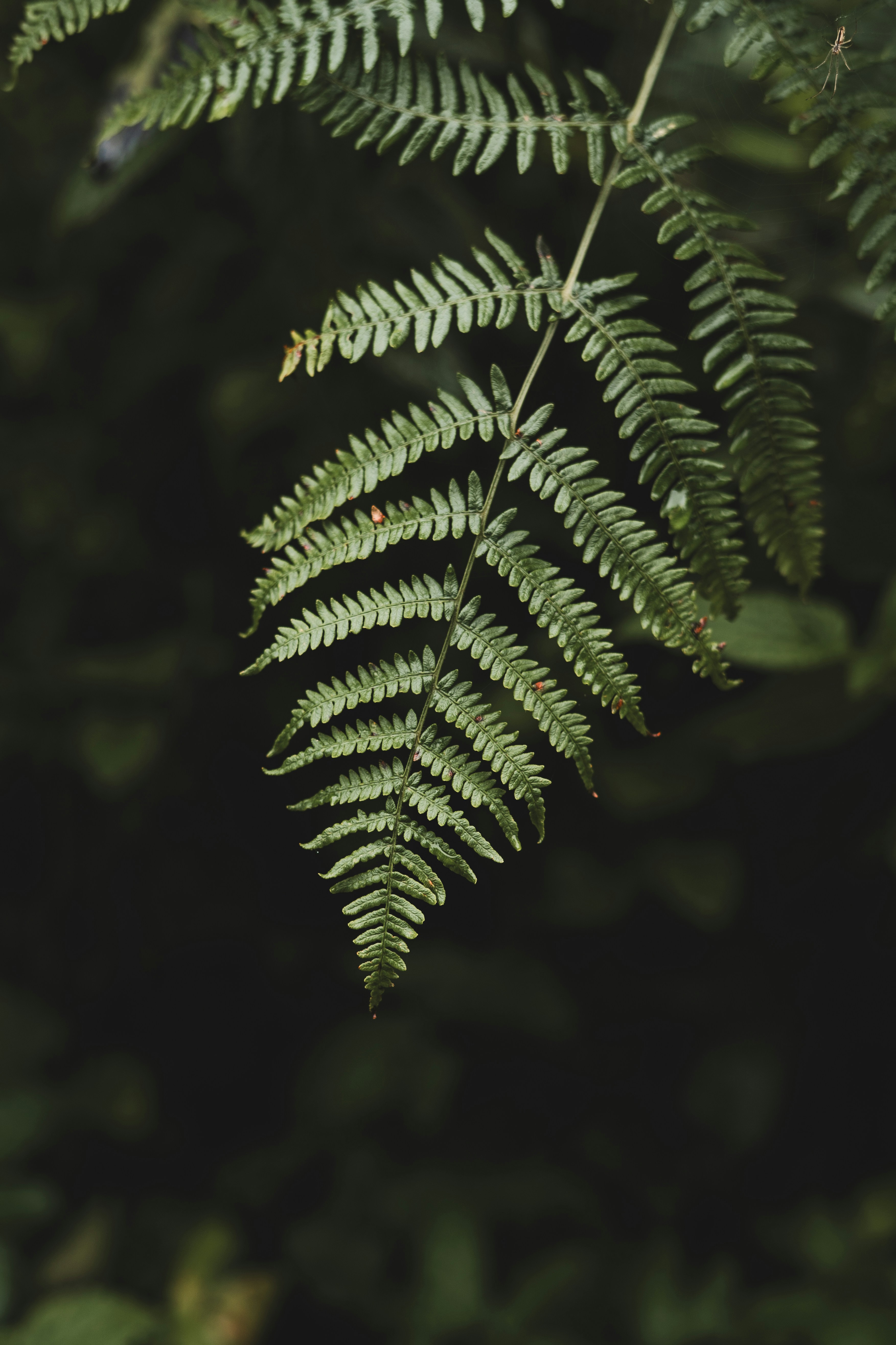 Photo by visualsbying