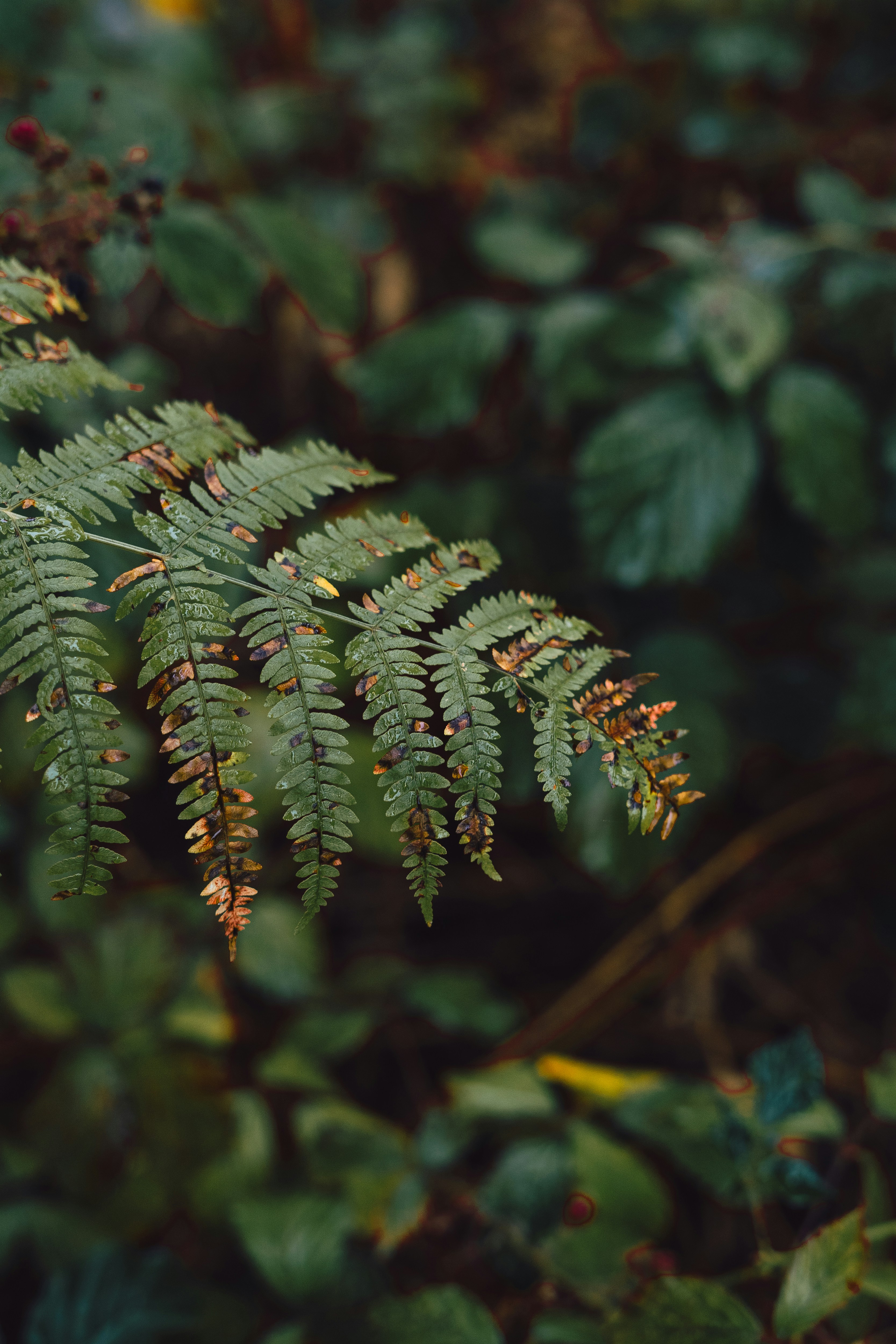 Photo by visualsbying