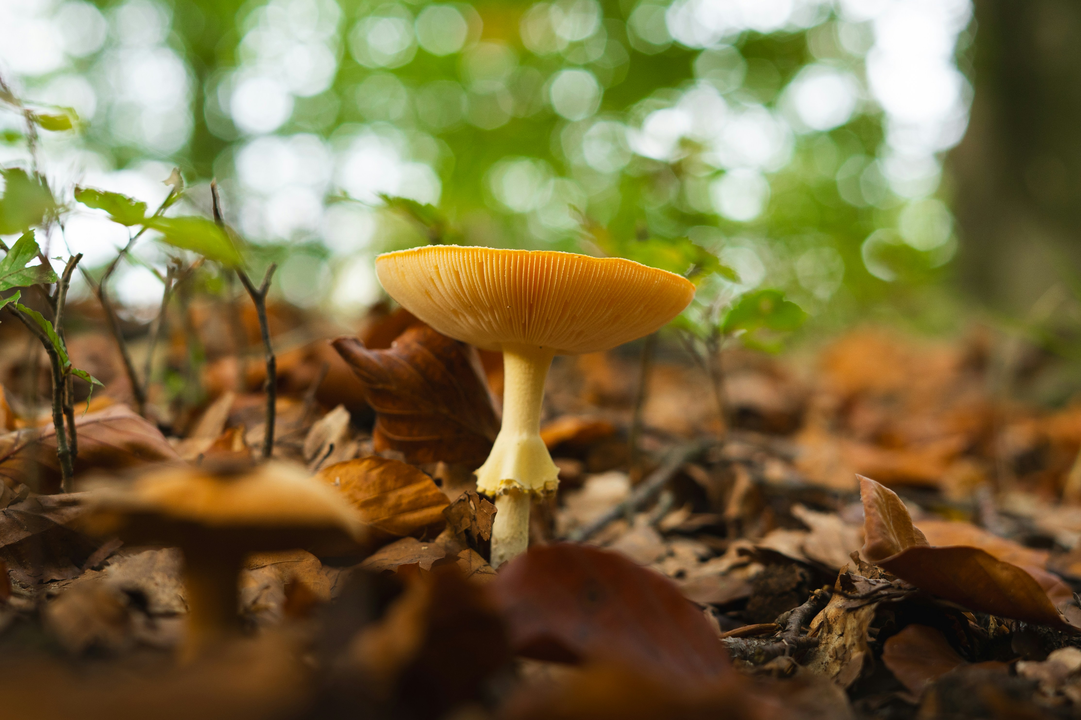 Photo by visualsbying