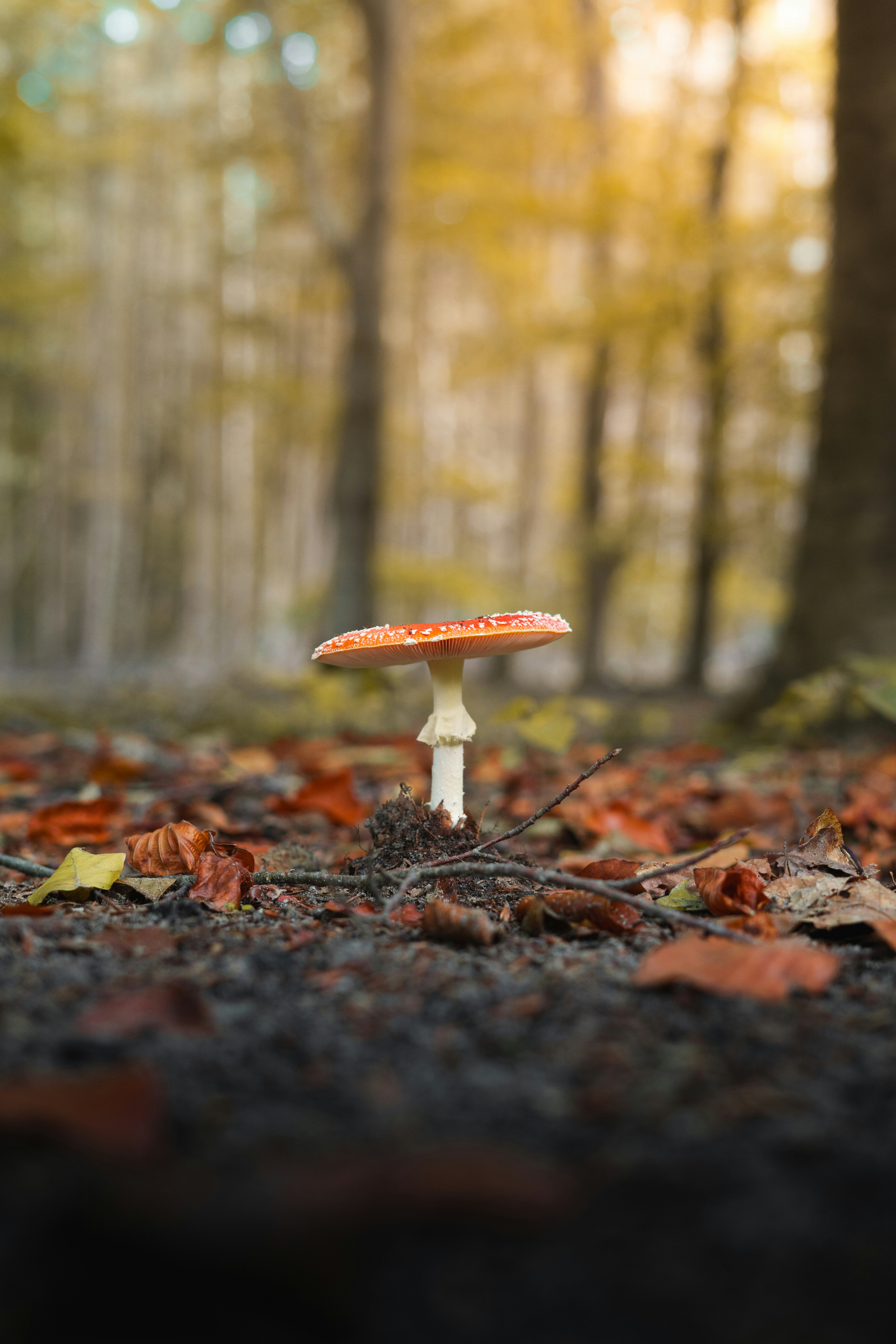 Photo by visualsbying