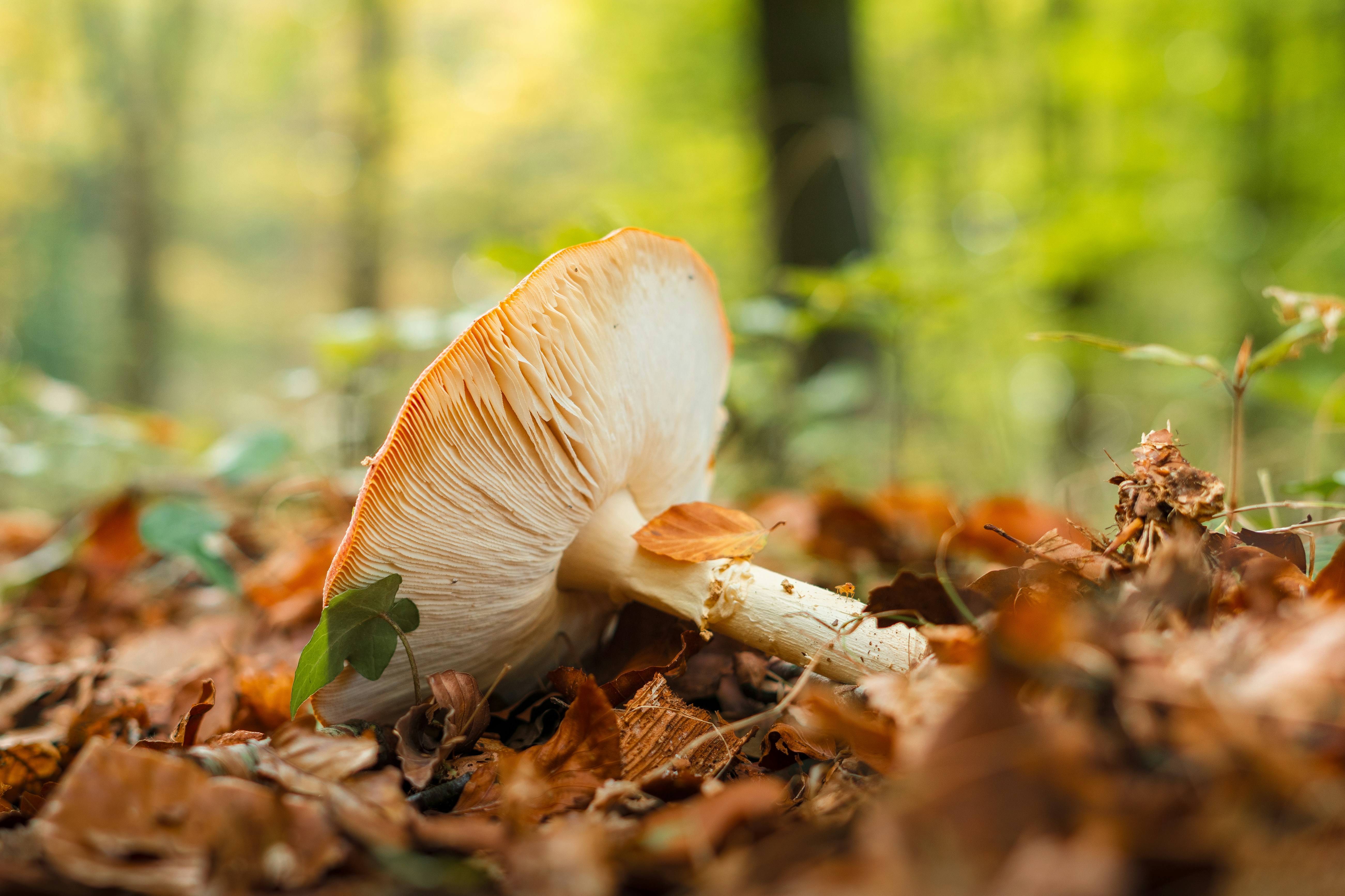 Photo by visualsbying