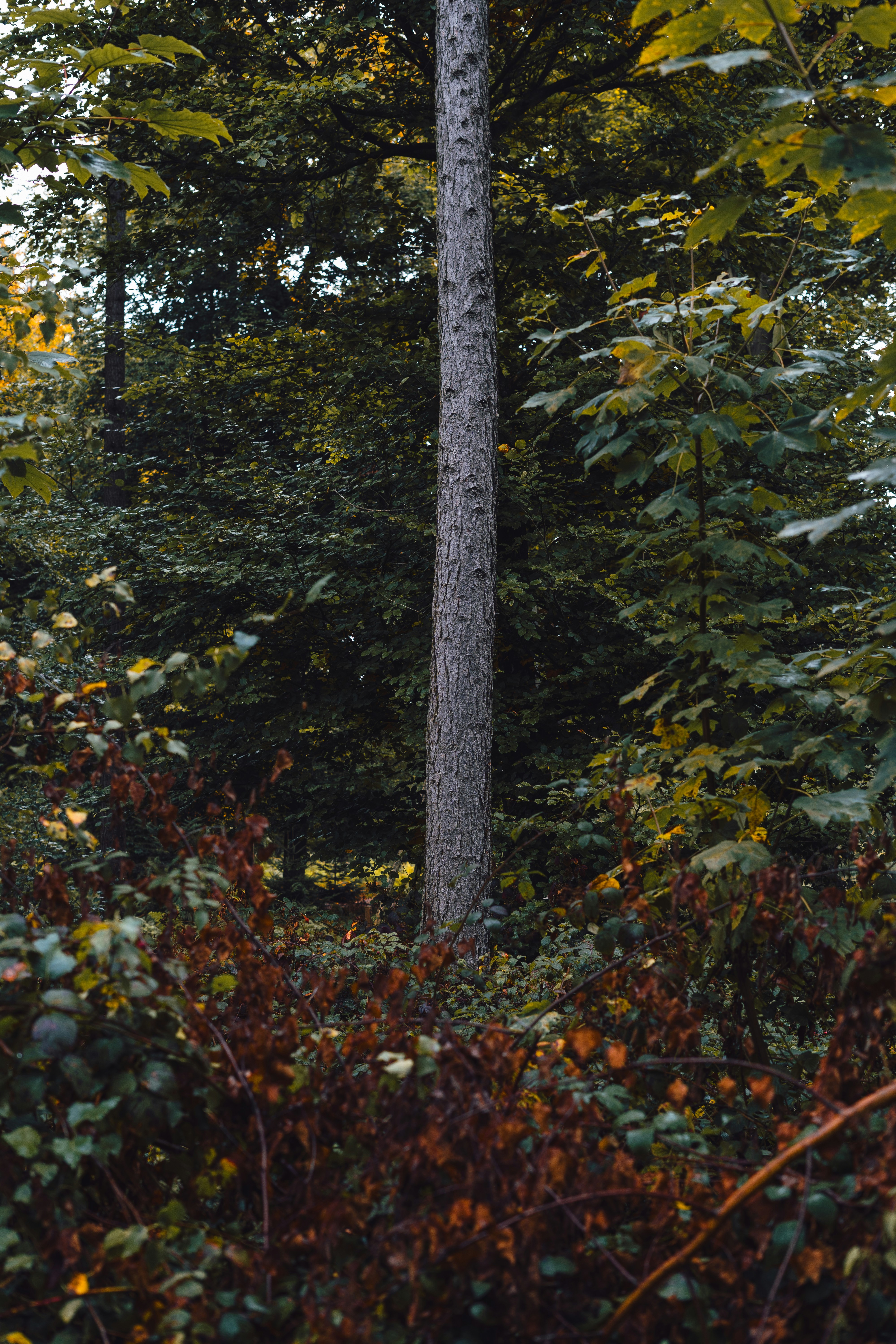 Photo by visualsbying