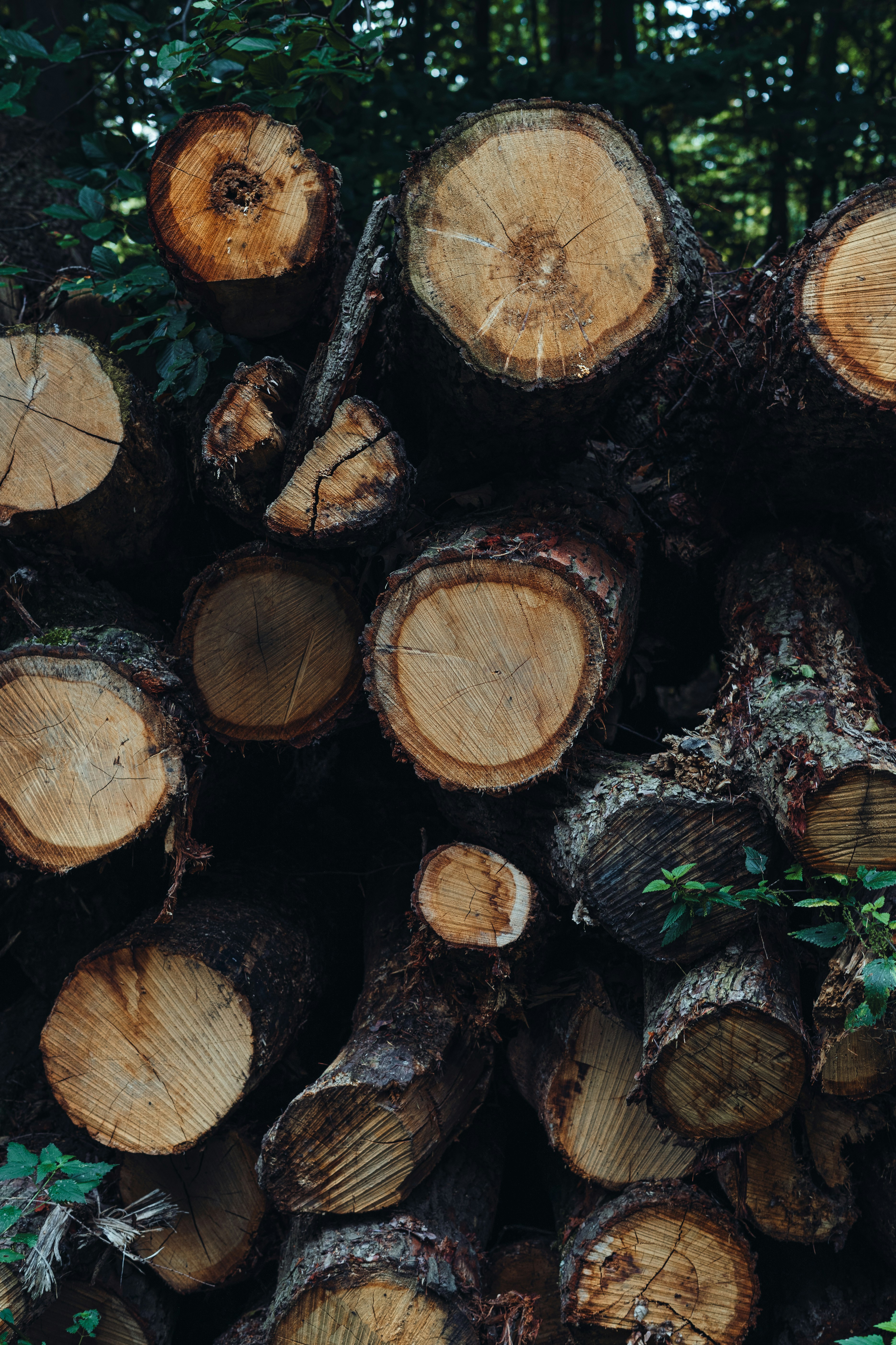 Photo by visualsbying