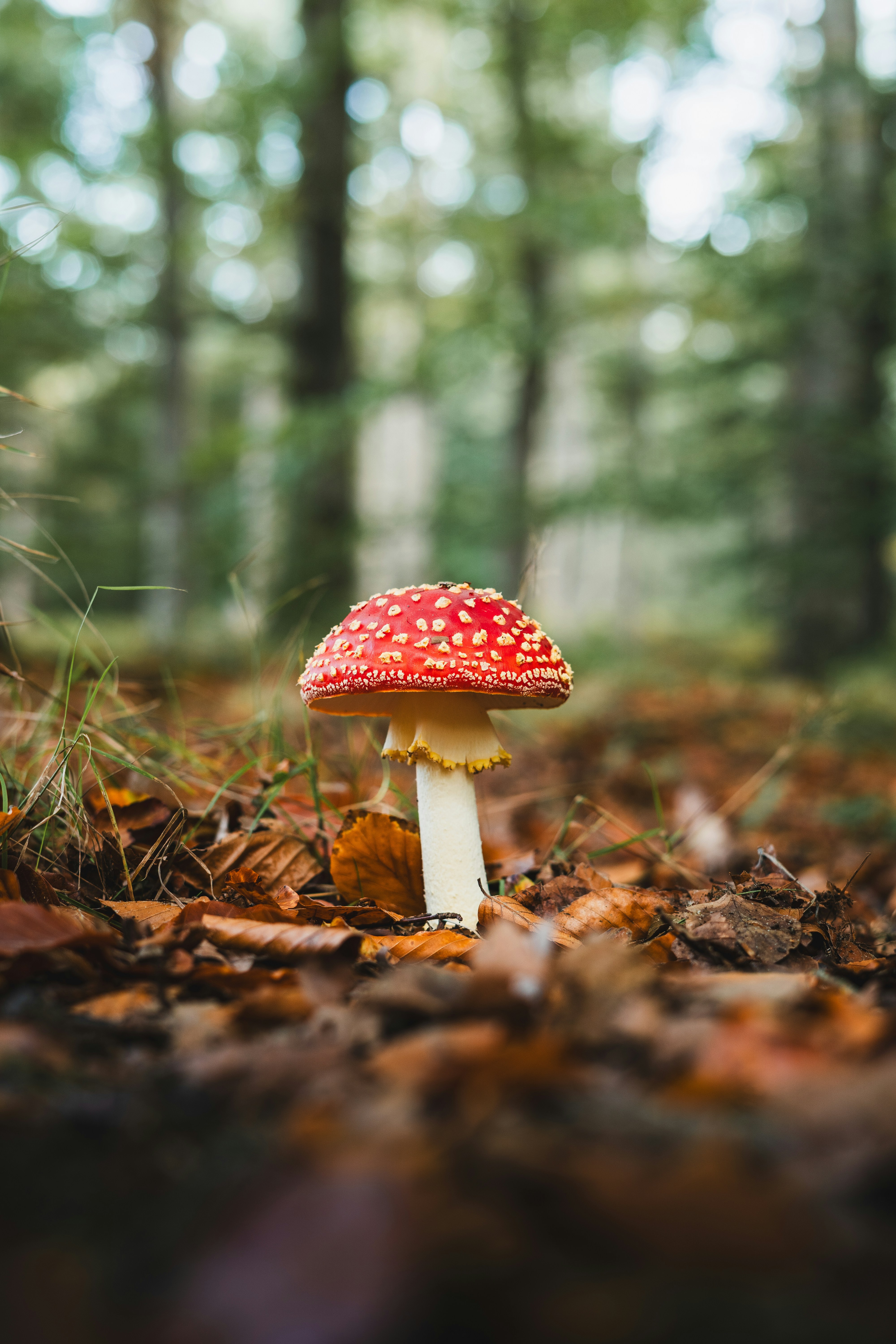 Photo by visualsbying