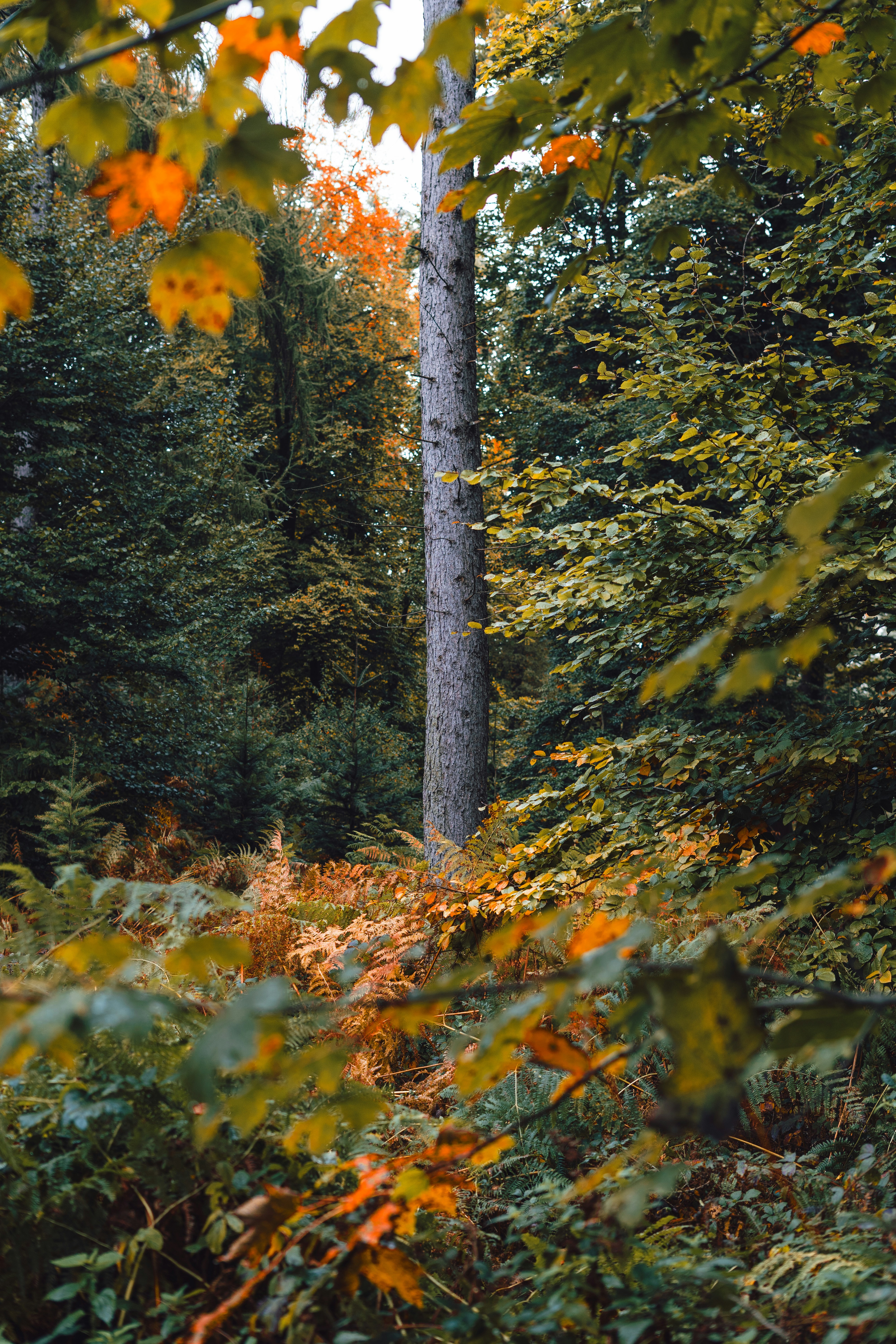 Photo by visualsbying