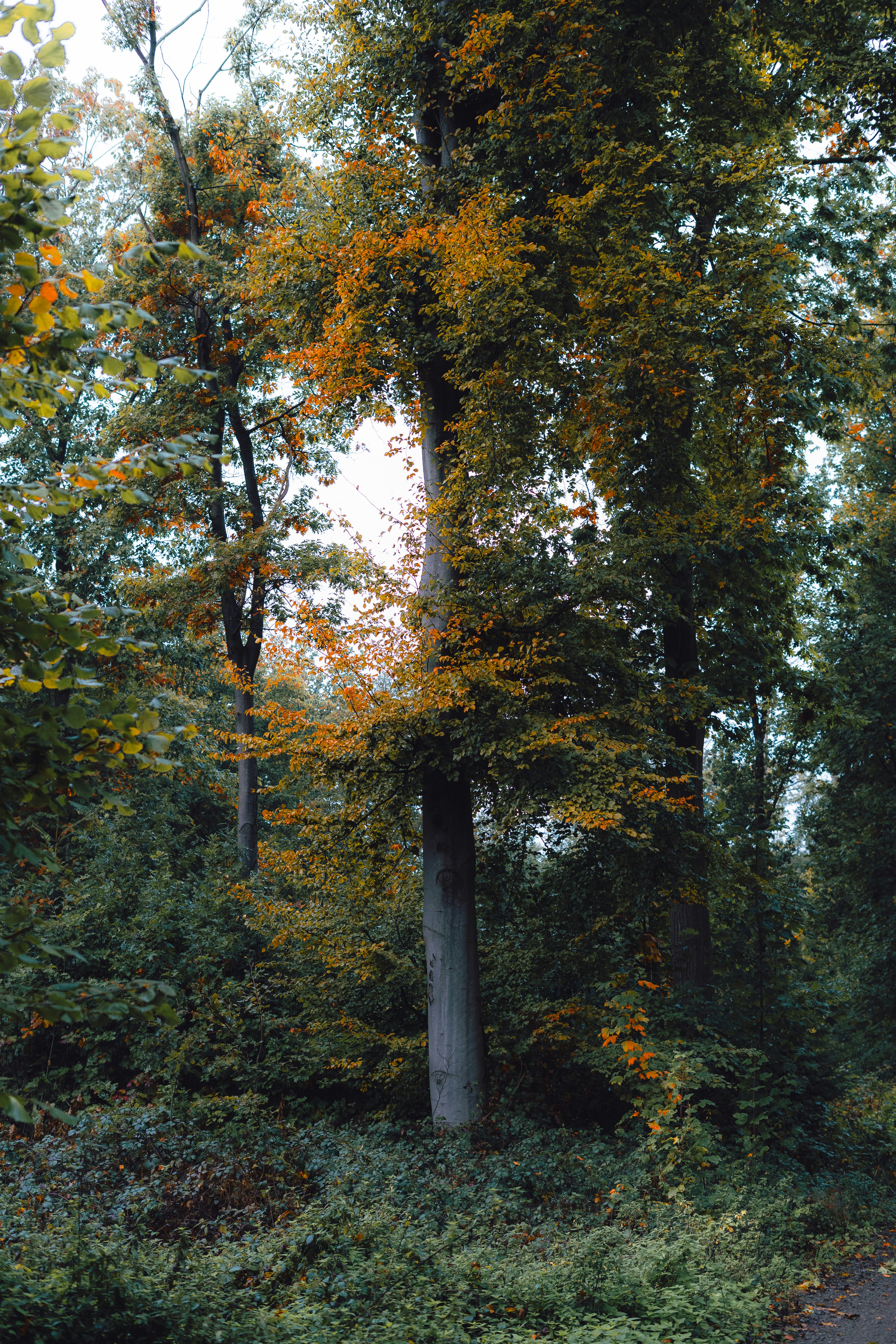 Photo by visualsbying