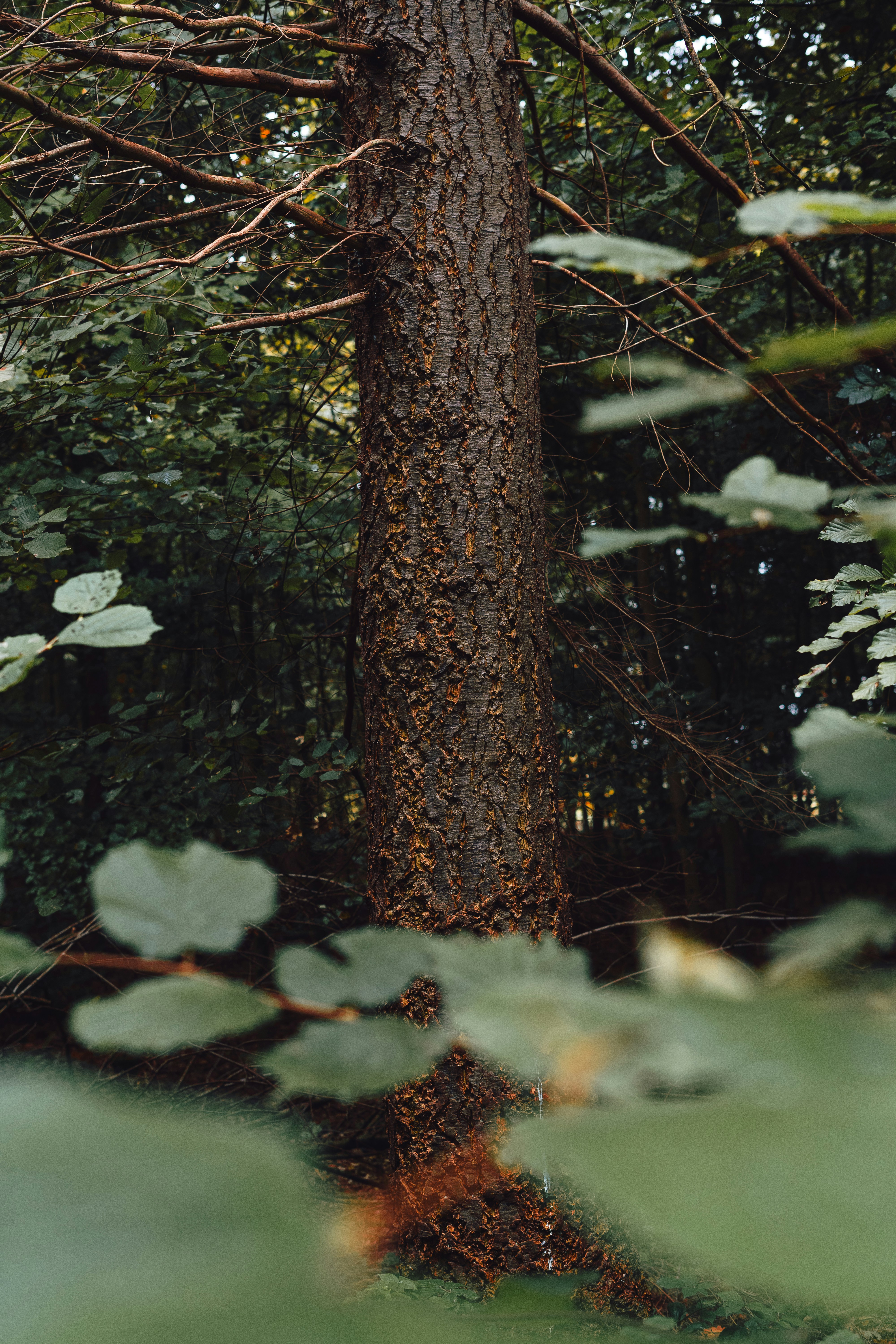 Photo by visualsbying