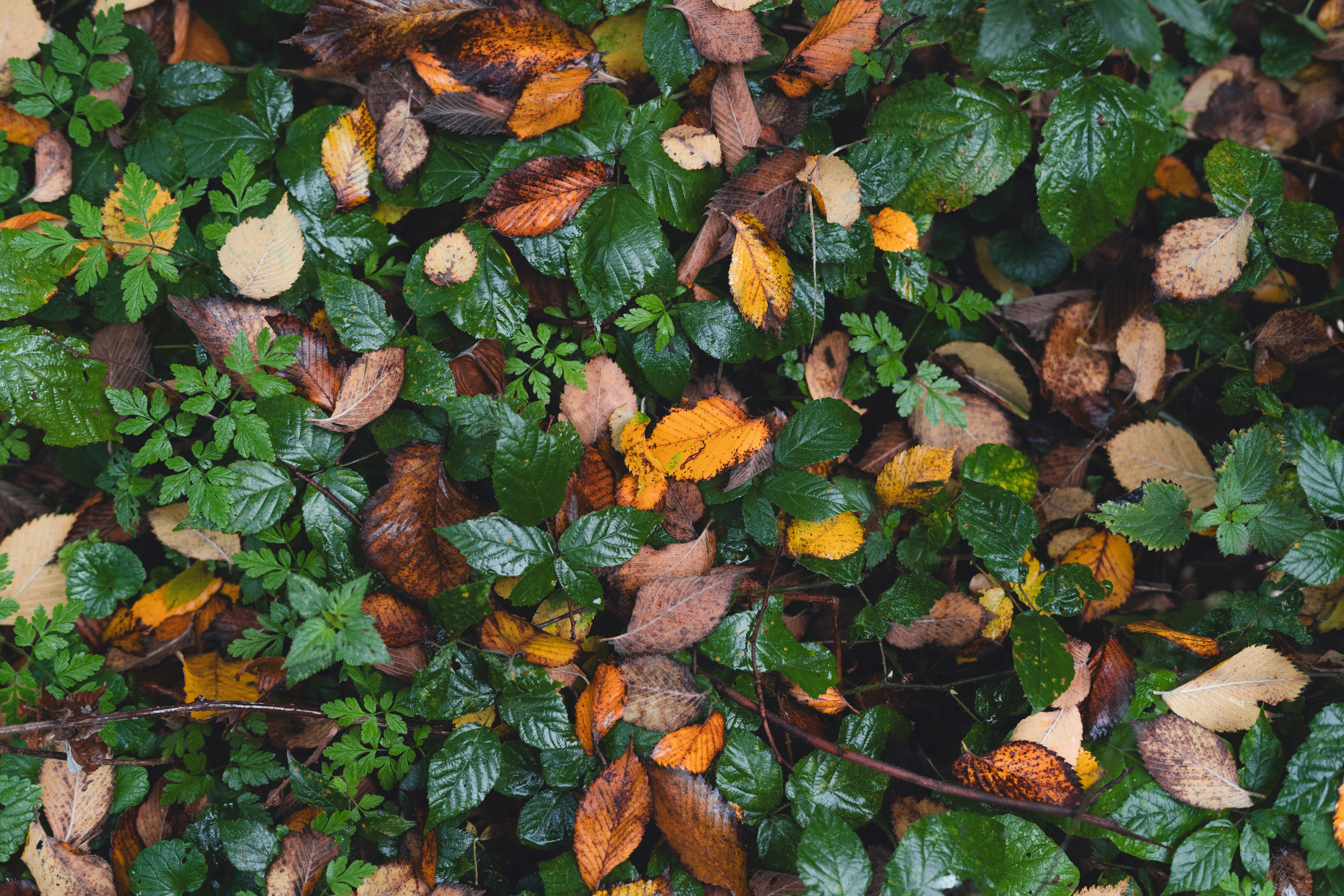 Photo by visualsbying