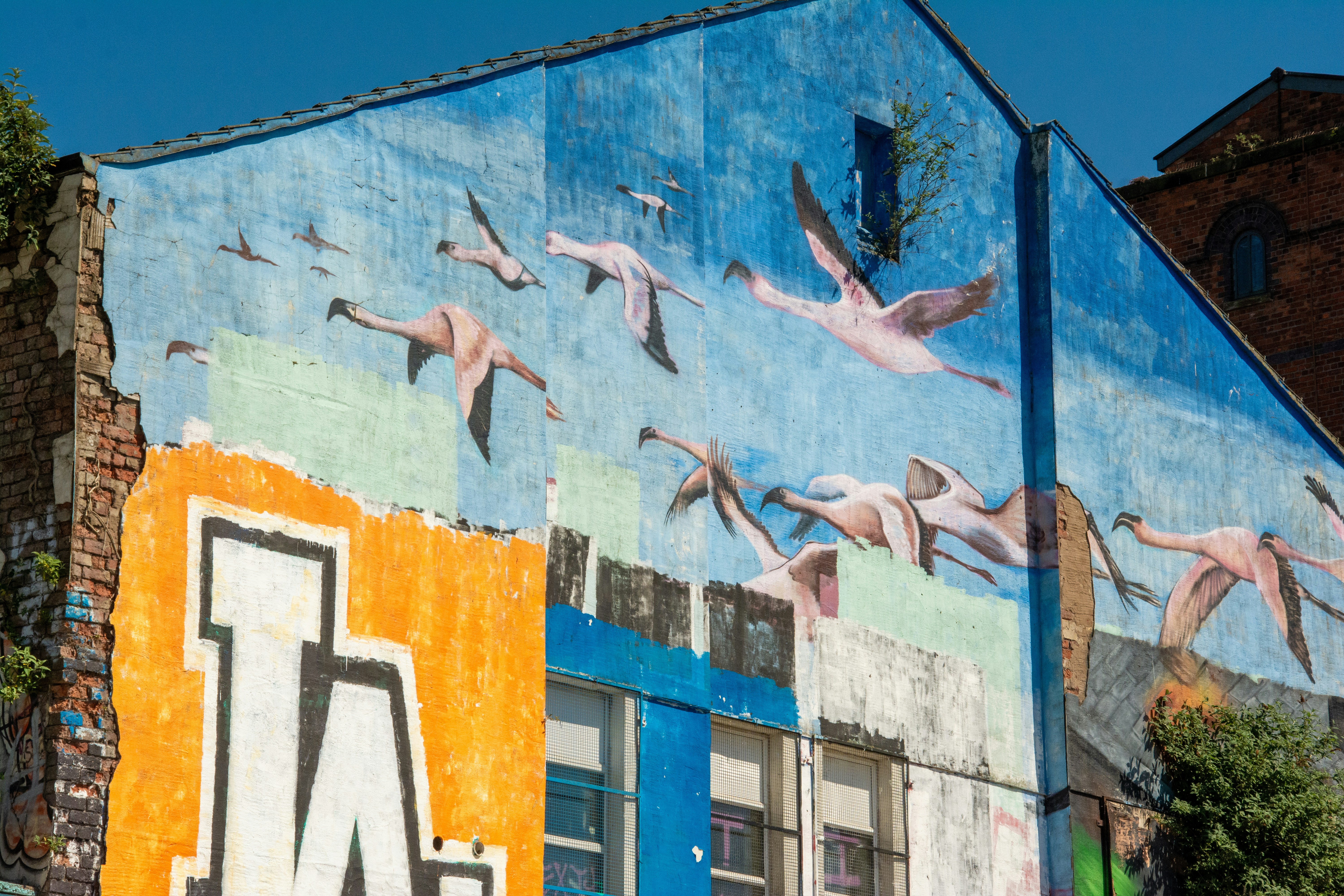 Photo by alexdavidphotos