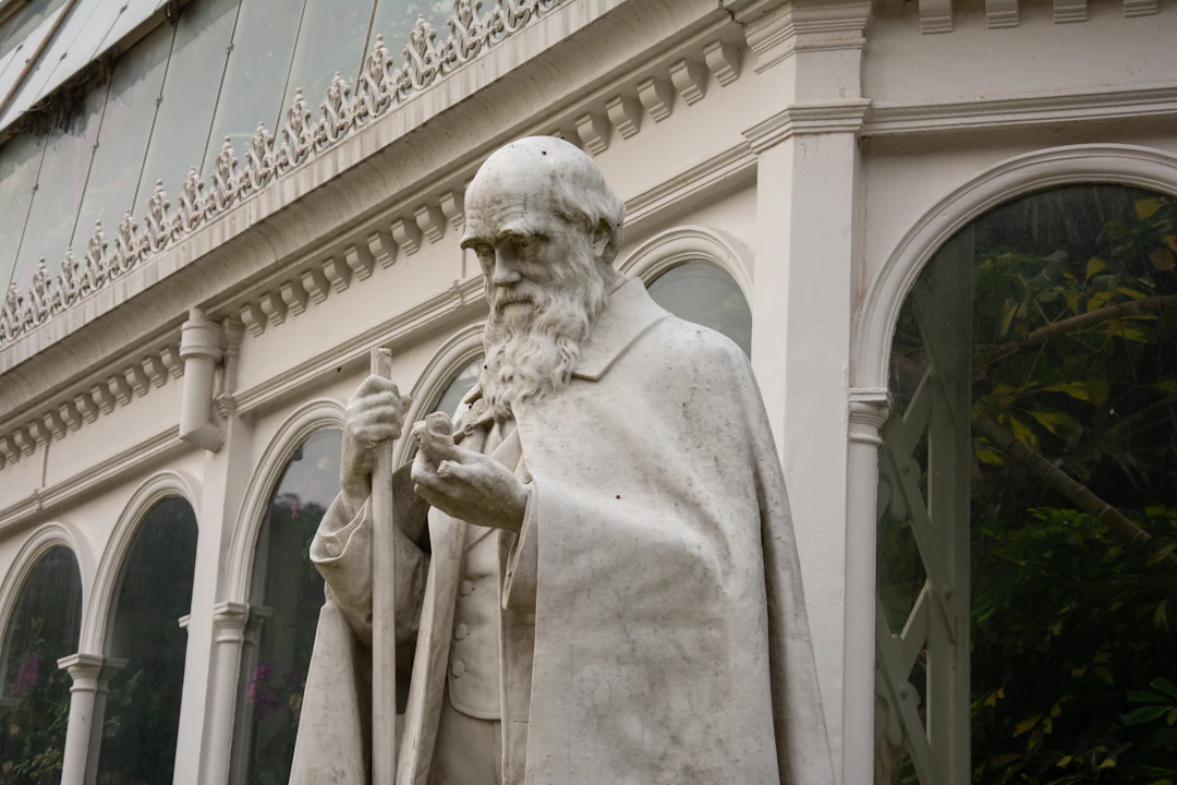 29-Day Budget Trip: North Africa & Northern Oceania