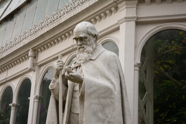 29-Day Budget Trip: North Africa & Northern Oceania