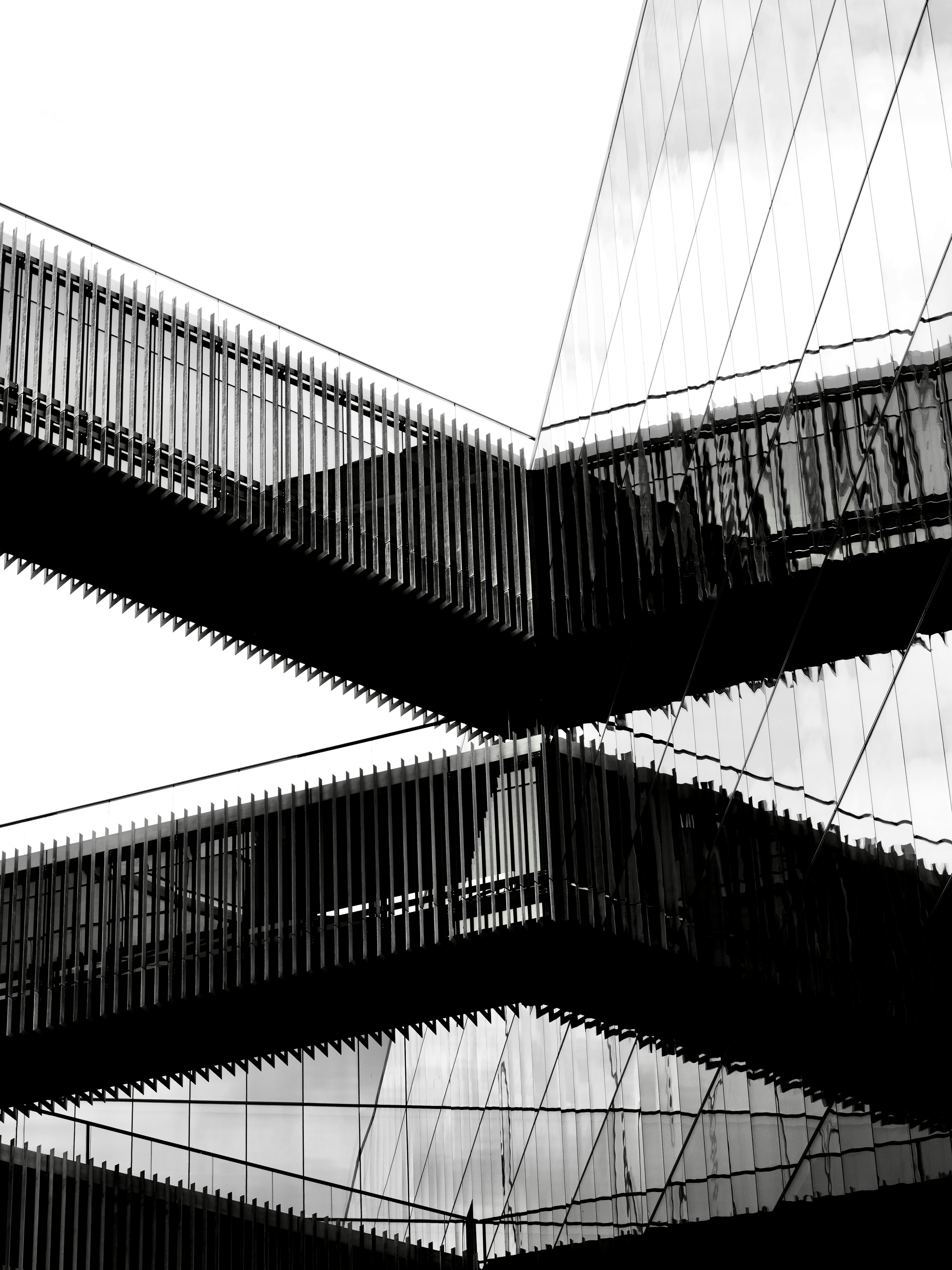 Photo by sschusterphotoart