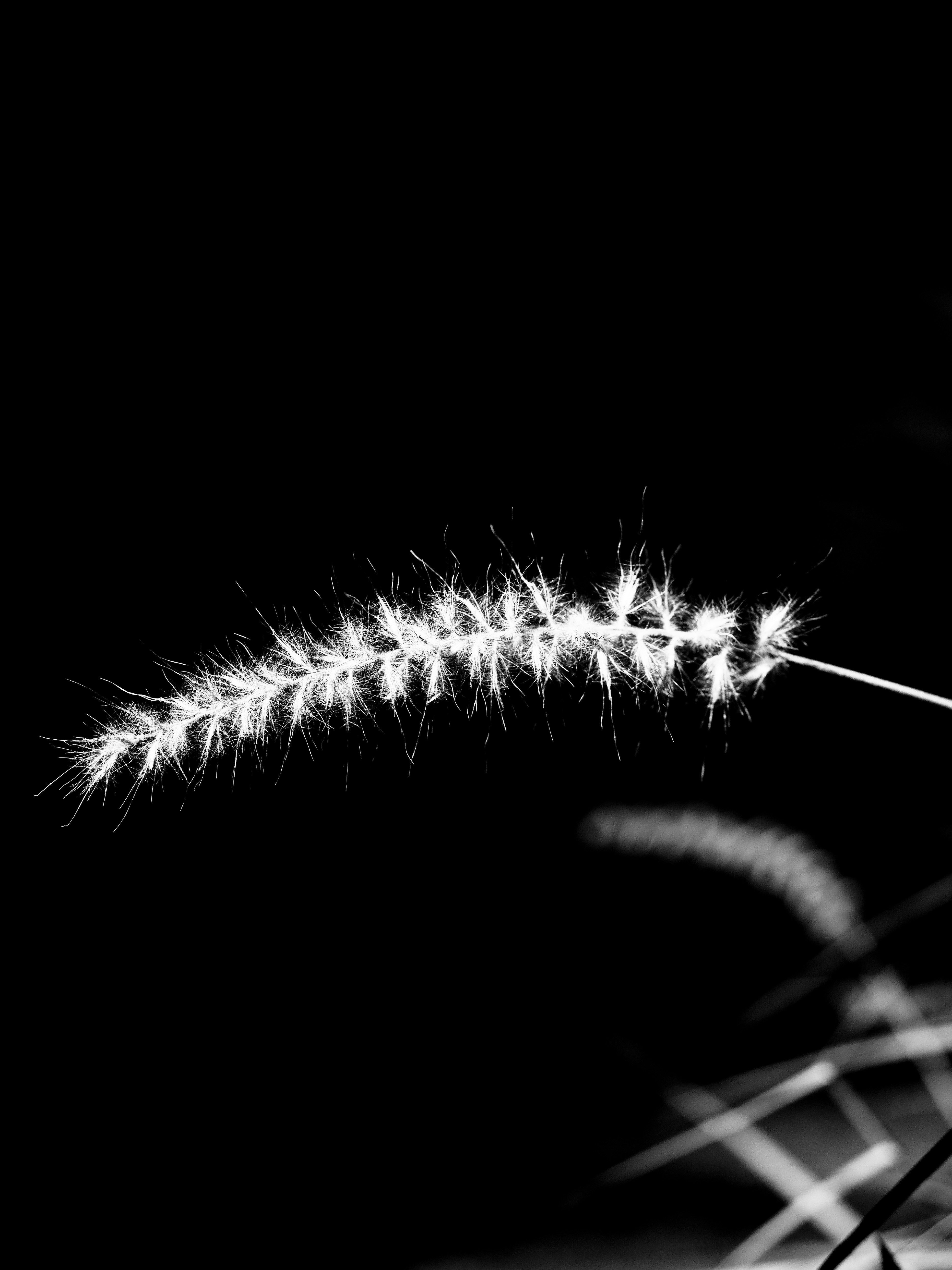 Photo by sschusterphotoart