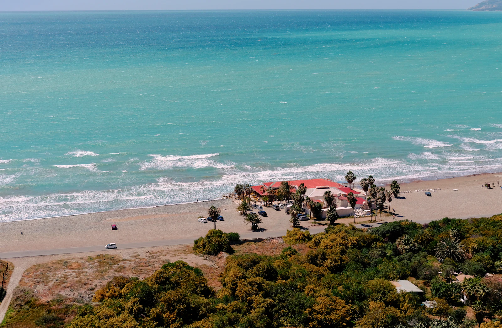 Anassa