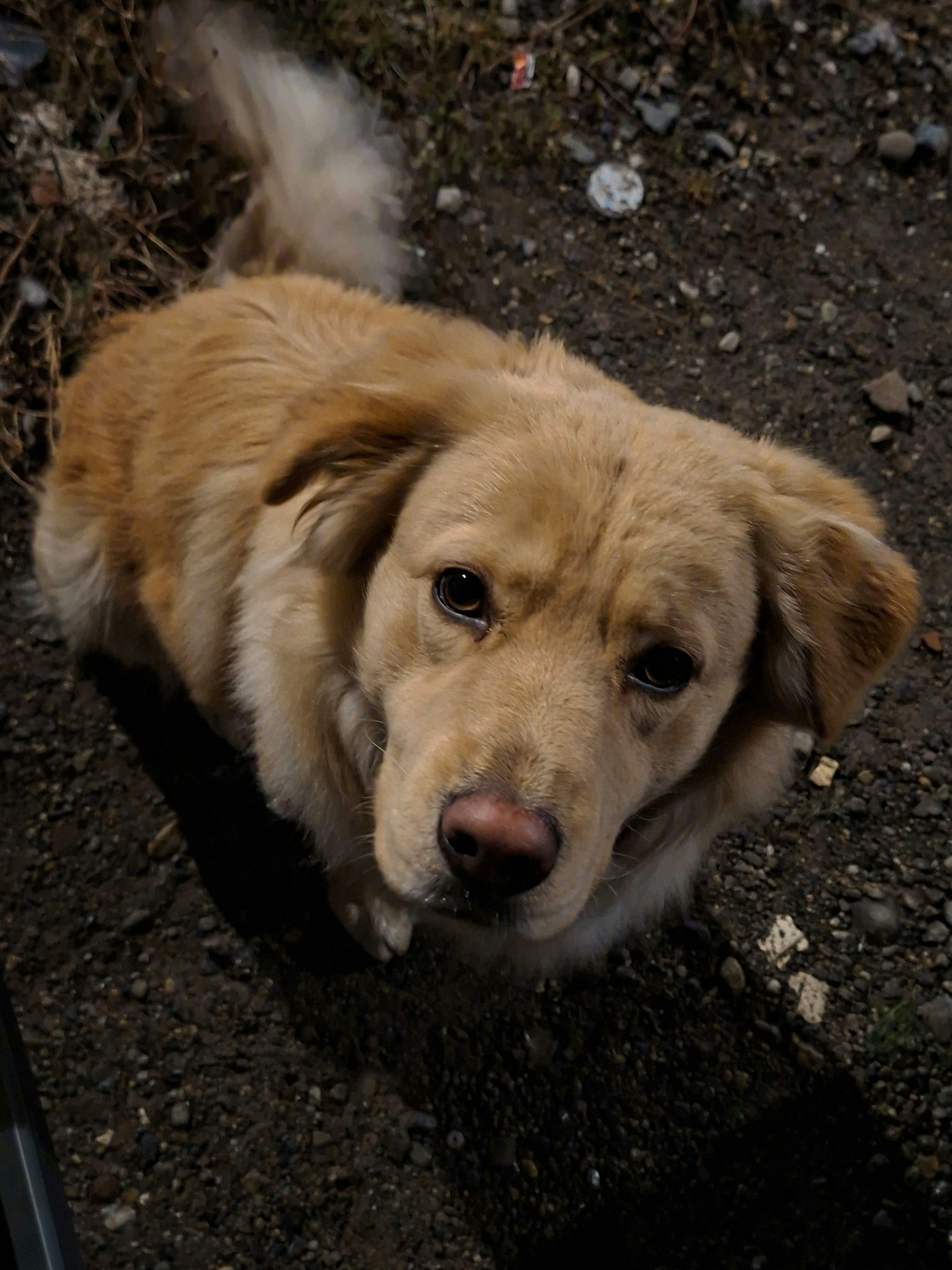 Photo by nachito_123