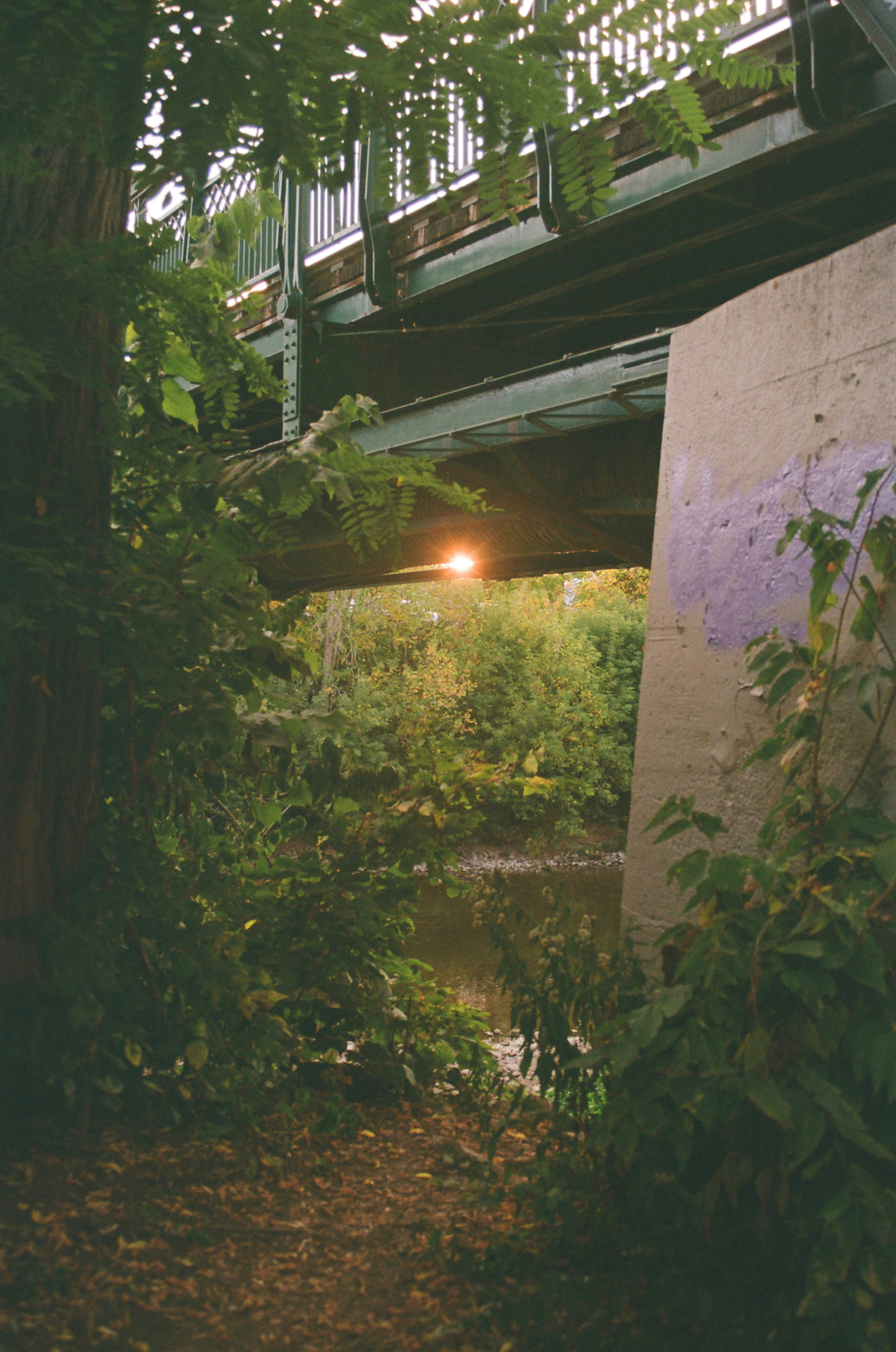 Bridge over a tranquil river surrounded by lush greenery