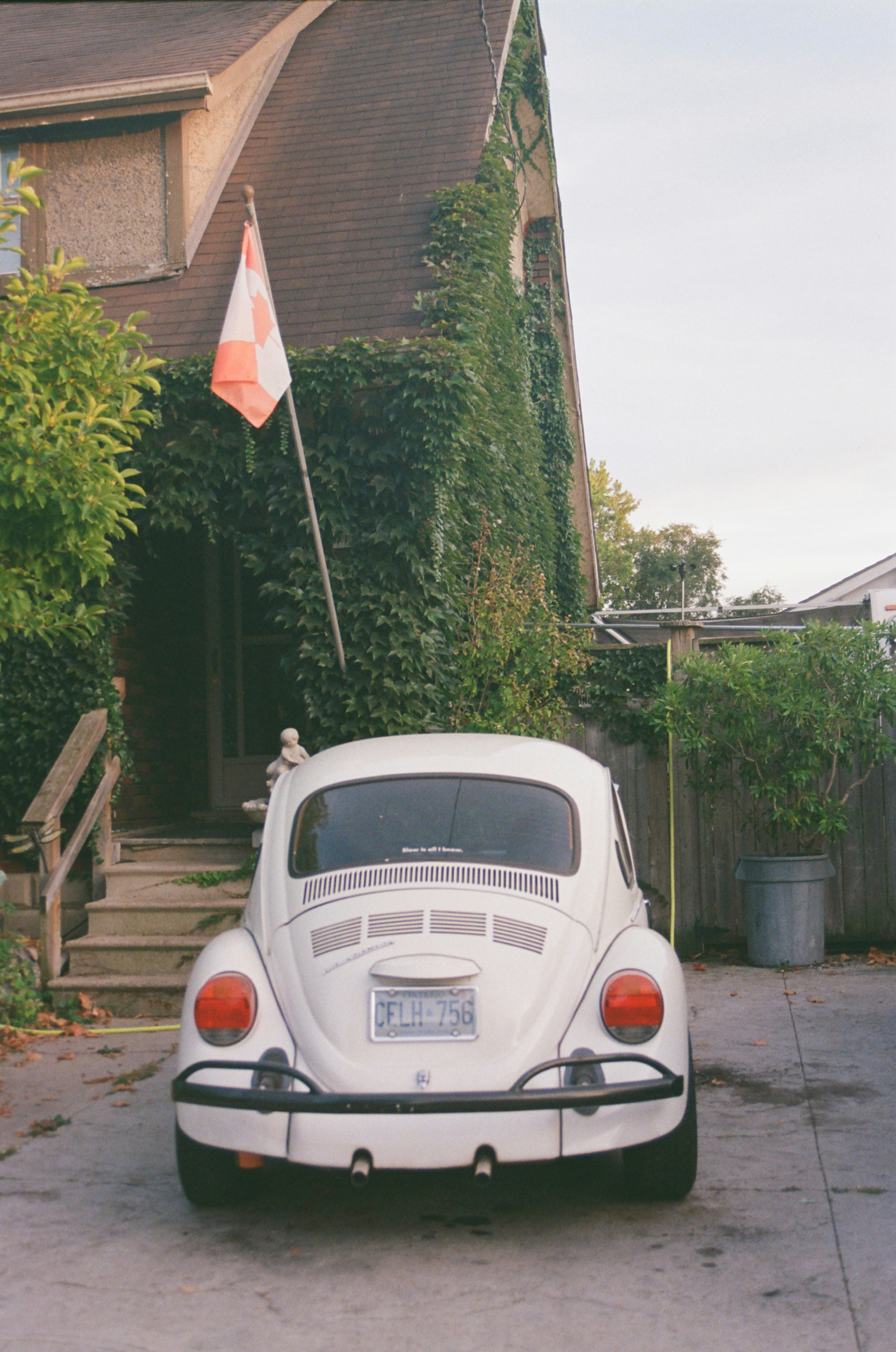 White volkswagen beetle parked in front of ivy-covered house
