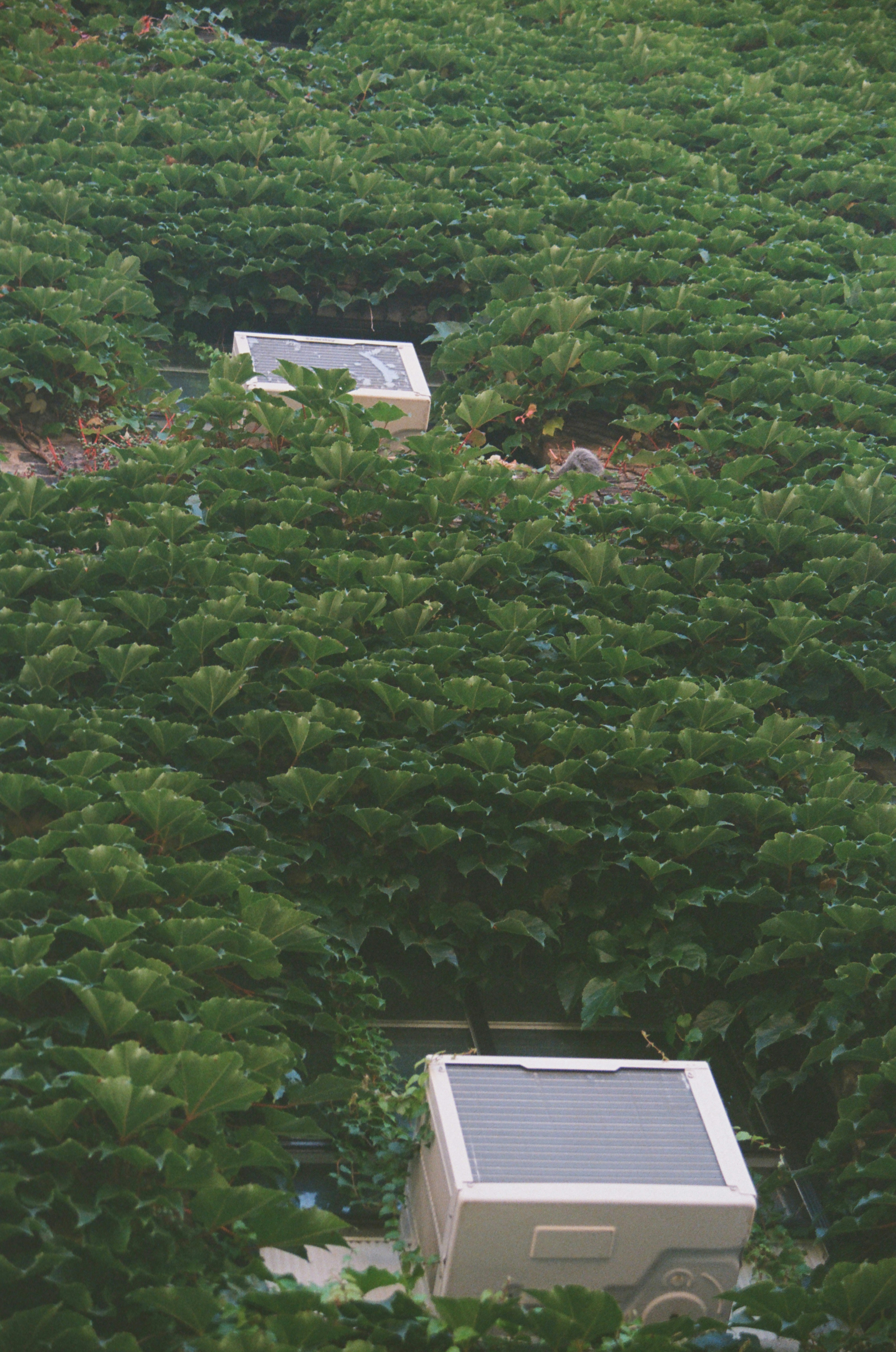 ¿Cómo se integra el software de automatización de flujo de trabajo de auditoría en la estrategia digital de una empresa?