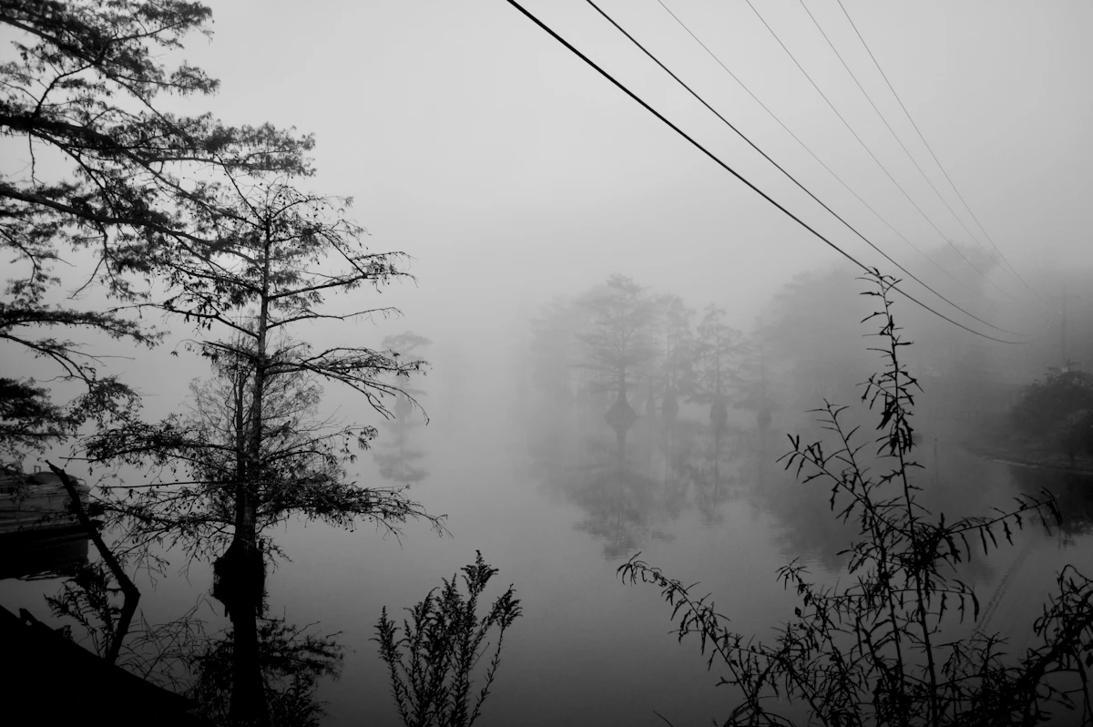What Is Queued to Connect in Louisiana?