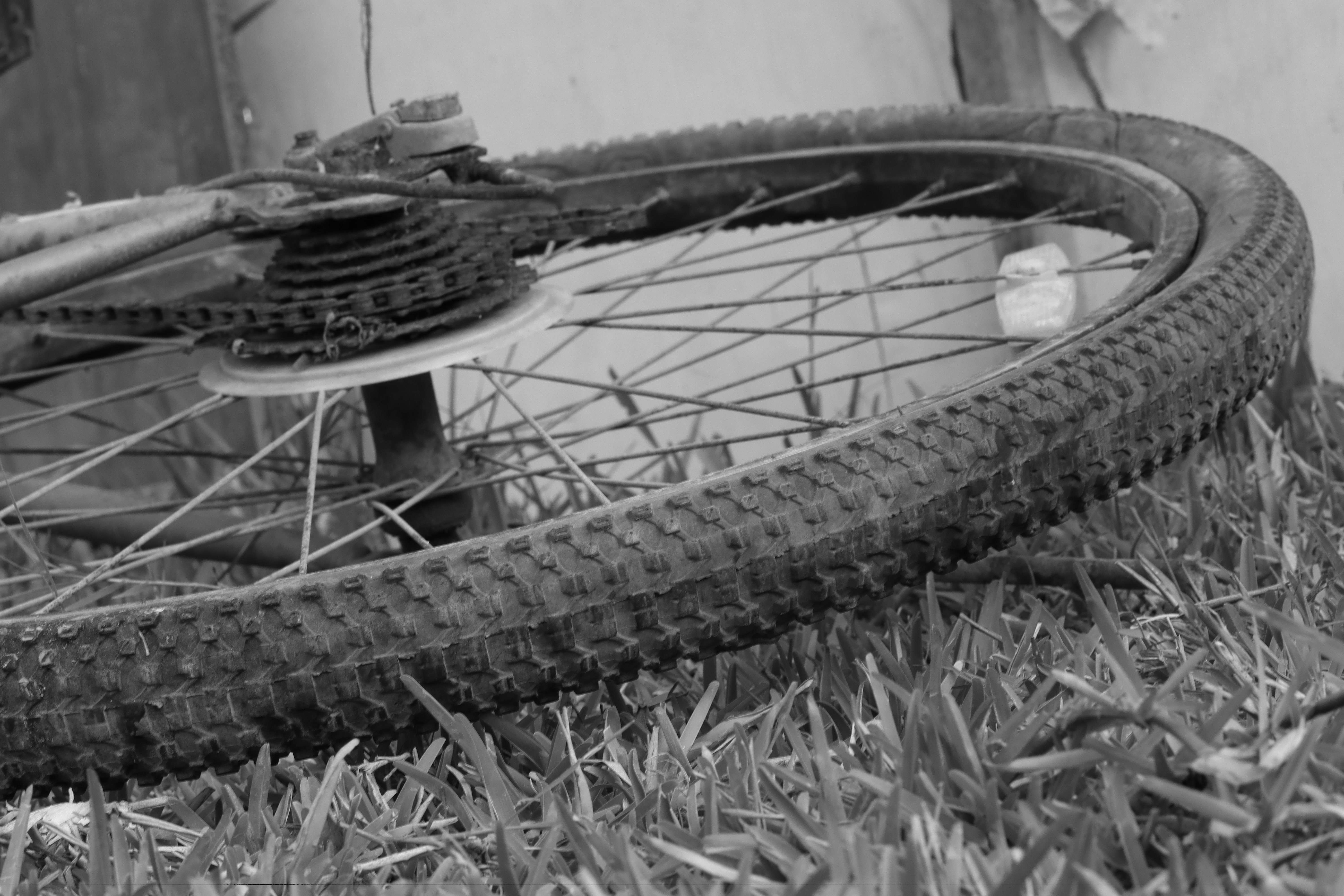 10 Essential Maintenance Tips to Keep Your Bike in Top Shape