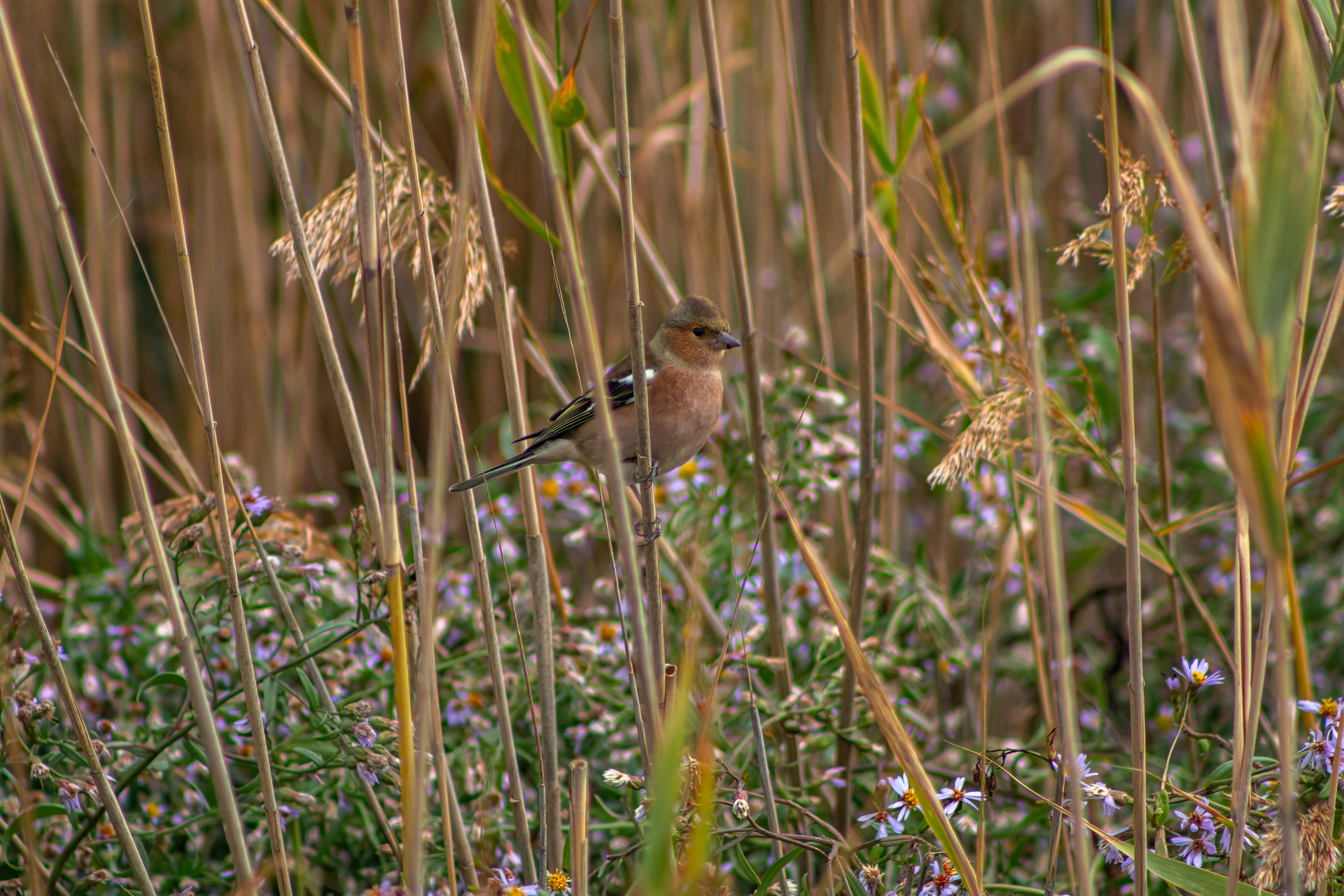 Photo by stepan_konev