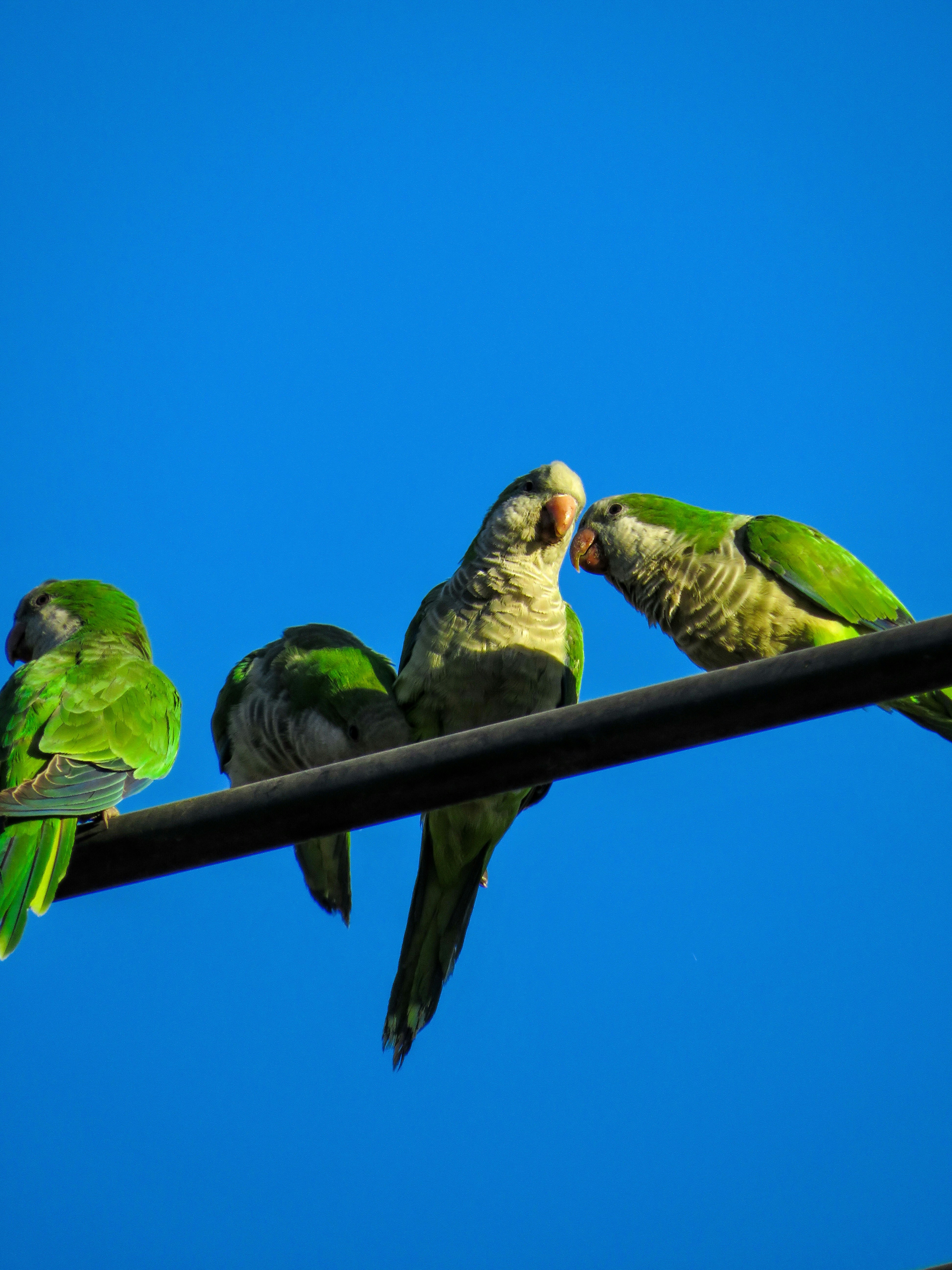 Photo by matiasvillacura