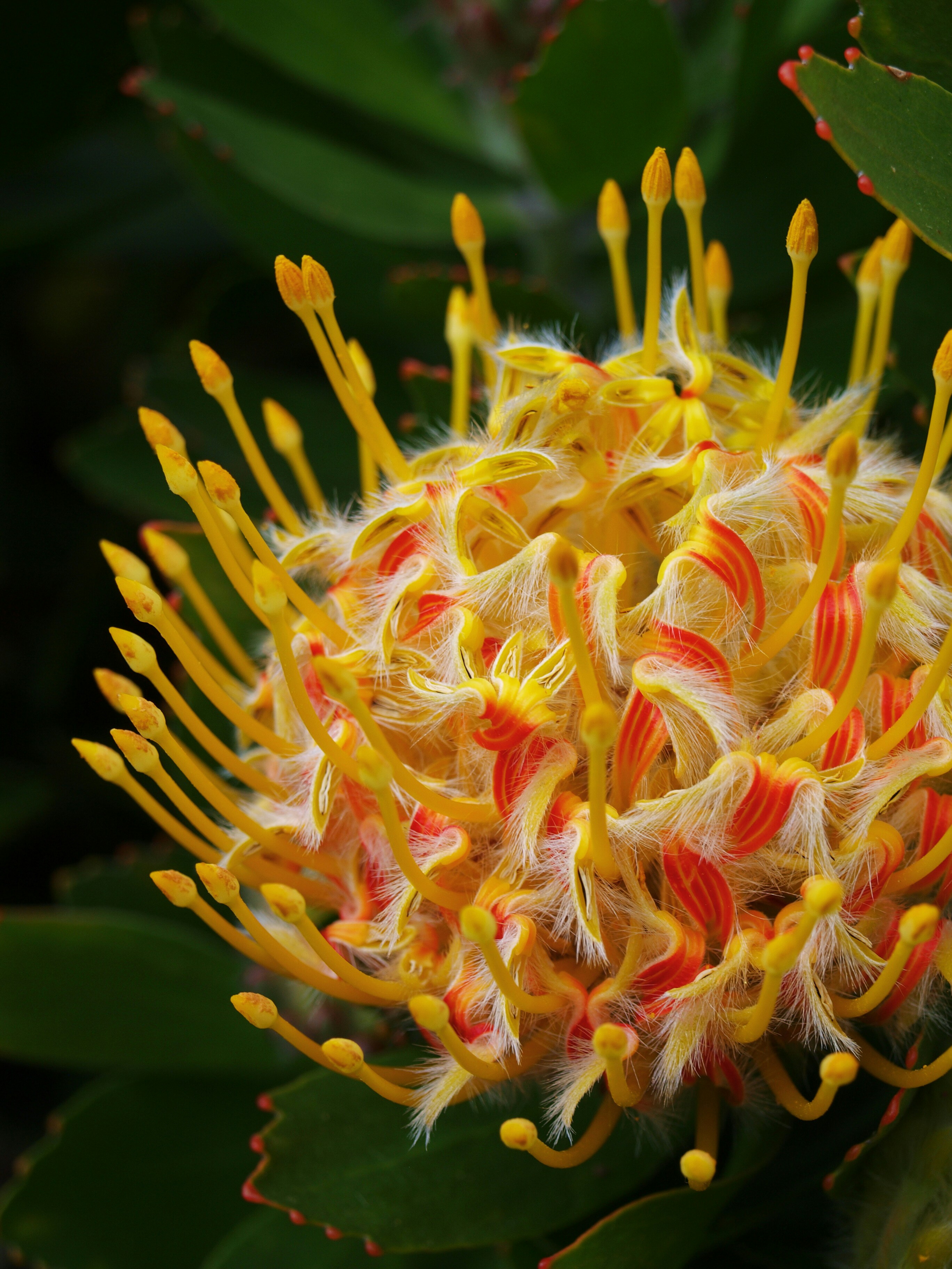 Photo by lutruwita_exposure