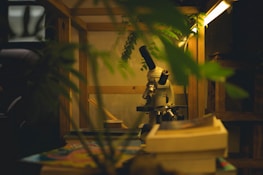Microscope in a wooden enclosure with plants