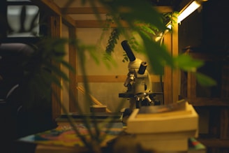 Microscope in a wooden enclosure with plants