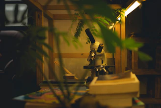 Microscope in a wooden enclosure with plants