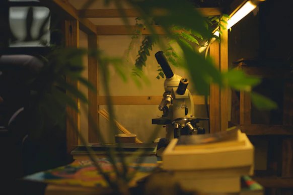 Microscope in a wooden enclosure with plants
