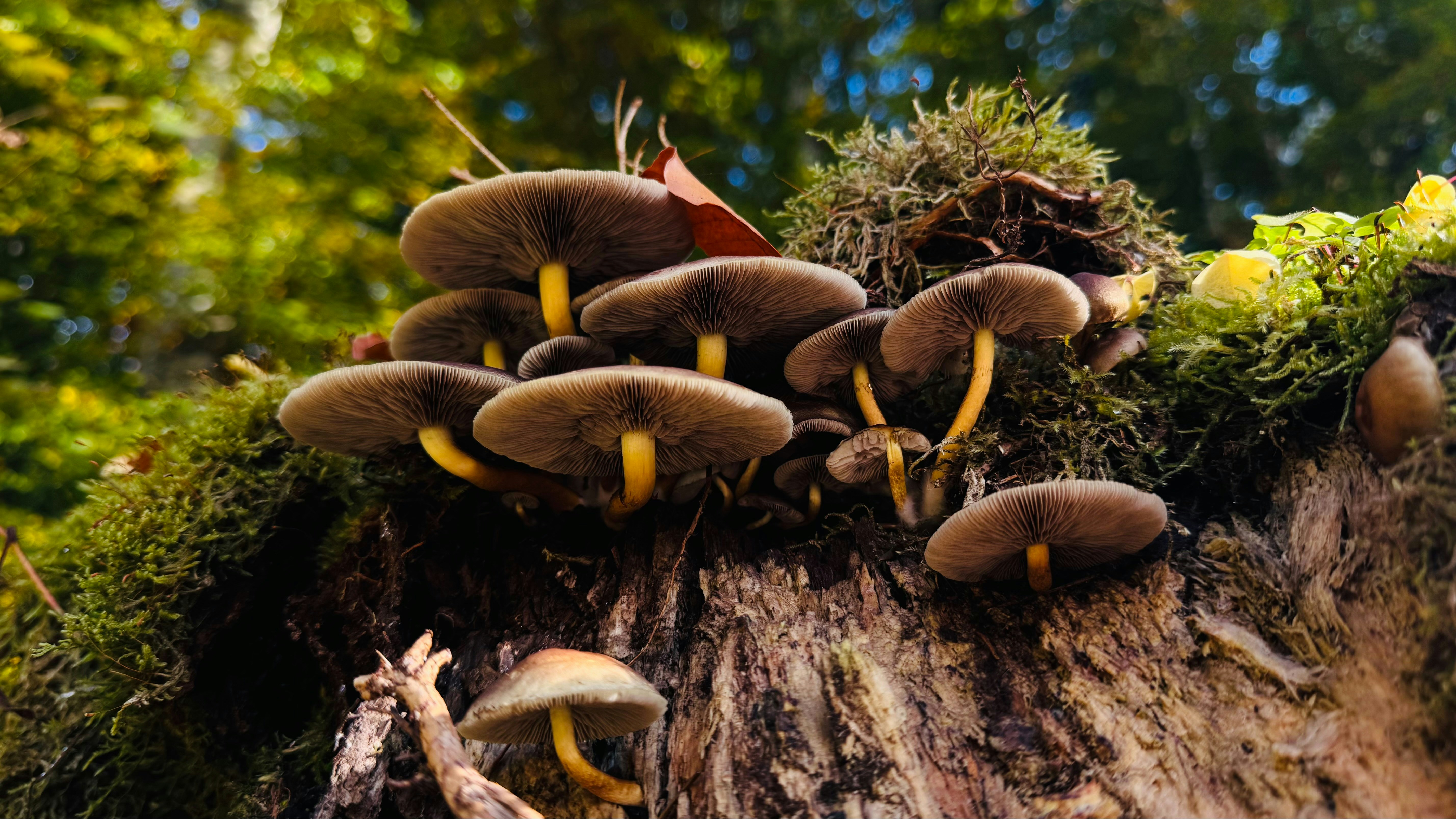 Photo by matthias_dohrmann