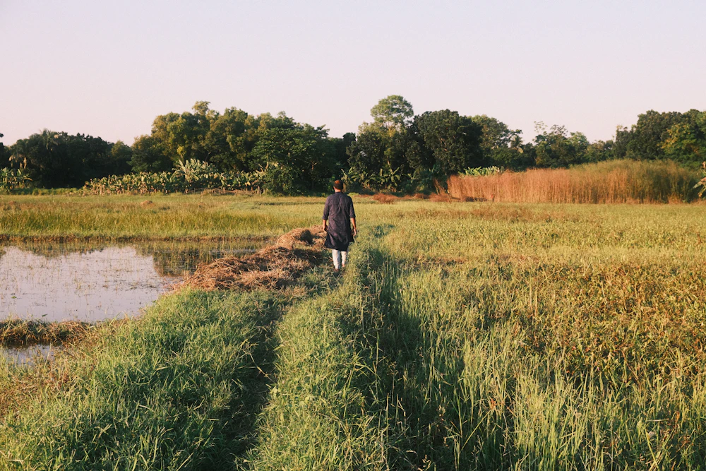 Person walking through a grassland at sunset