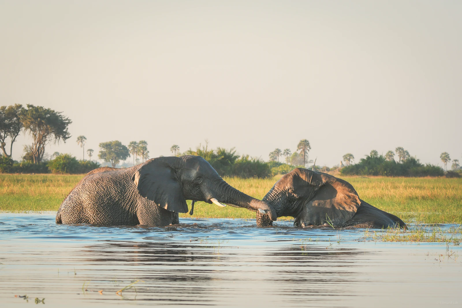 Singita Elela Lodge