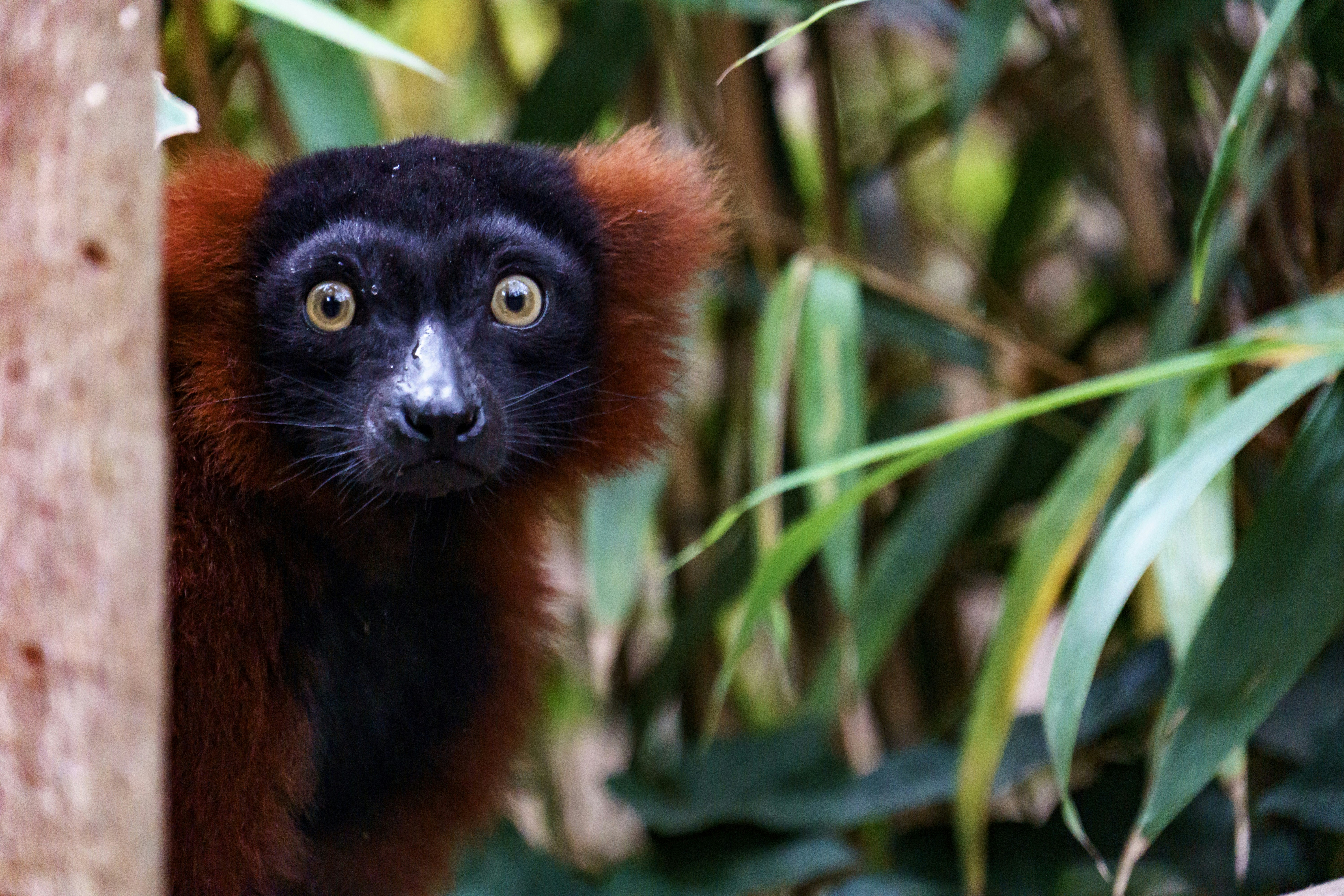 Photo by offermanstim