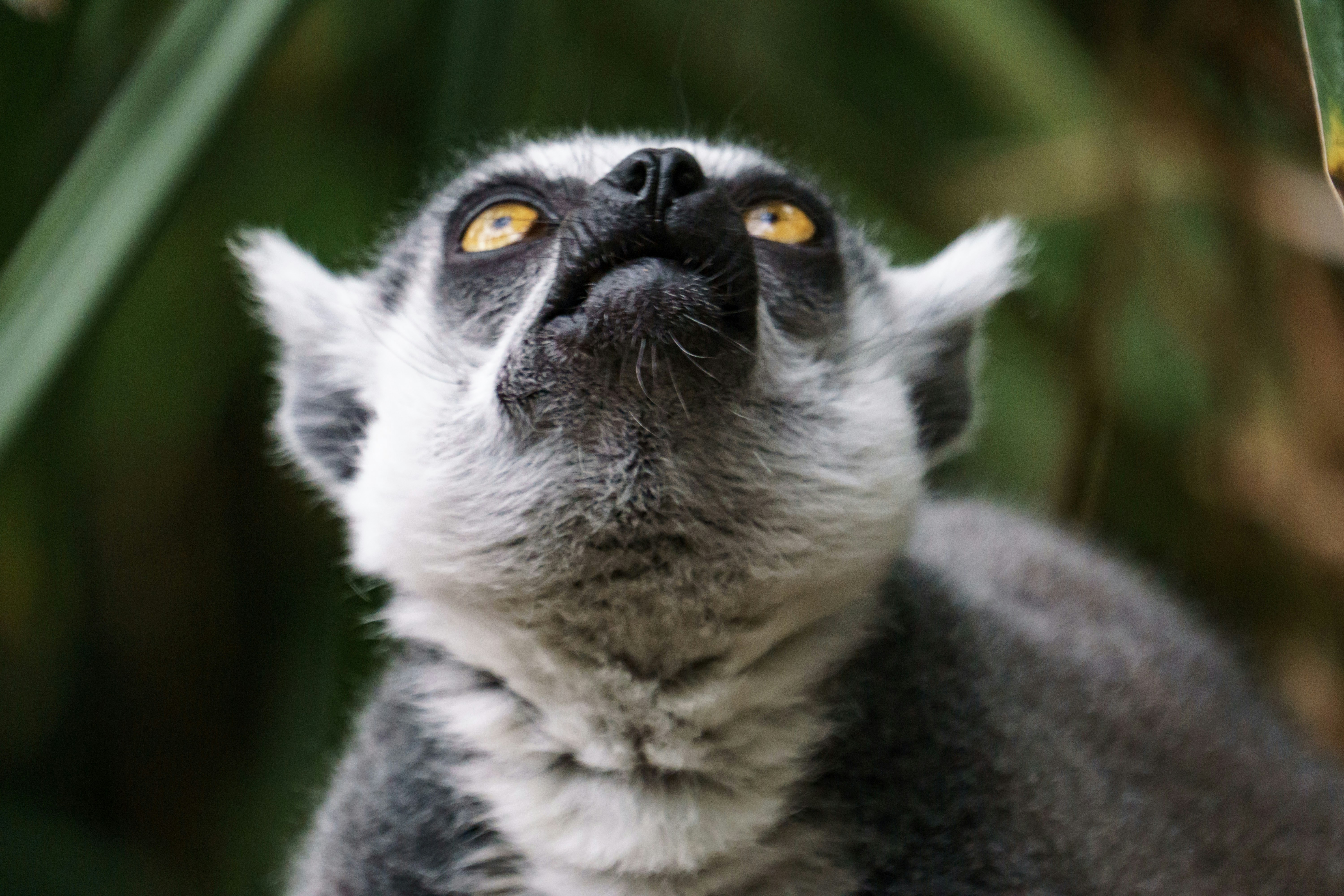 Avifauna Bird Park (The Netherlands)