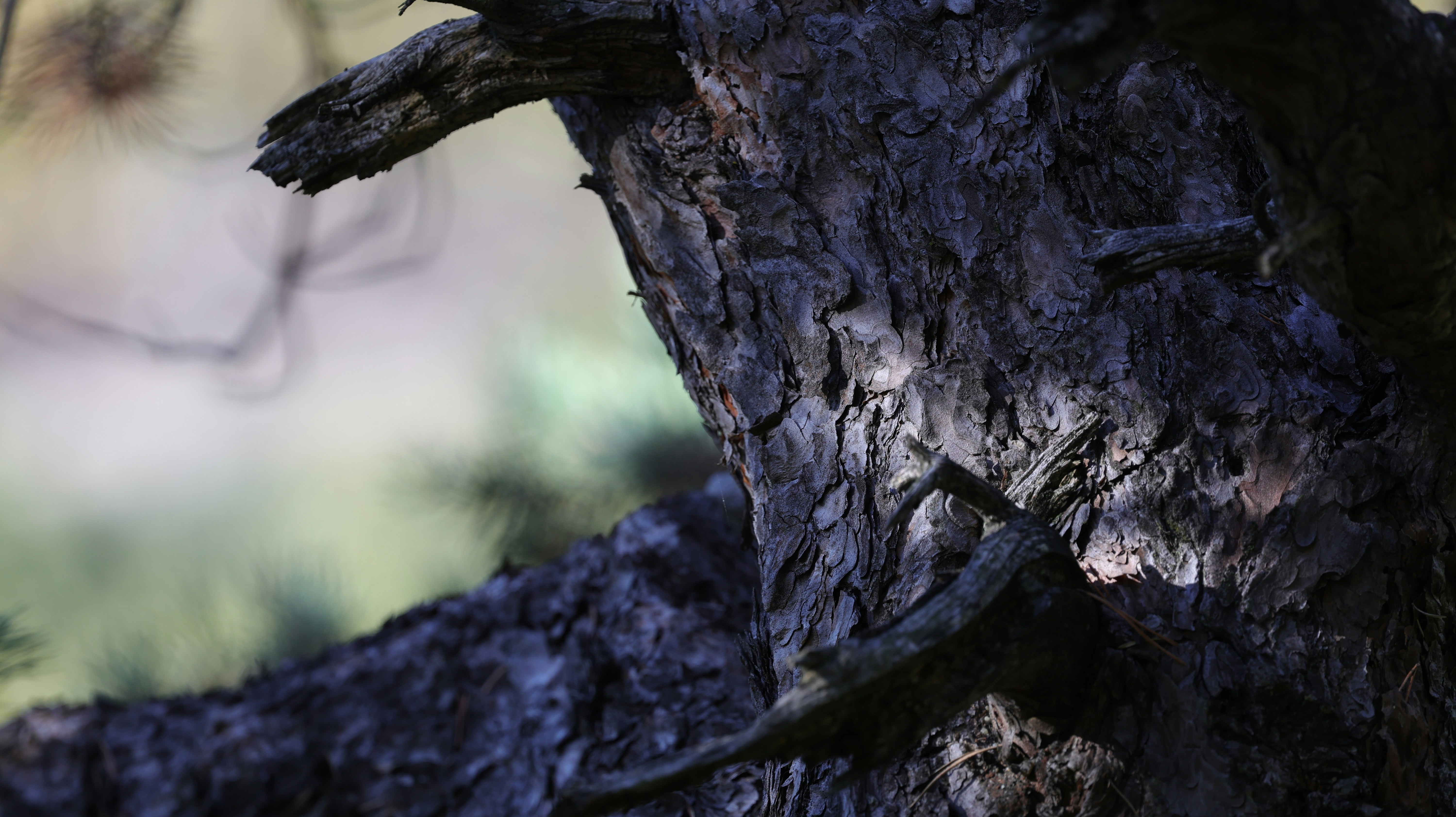 Photo by valomukitse