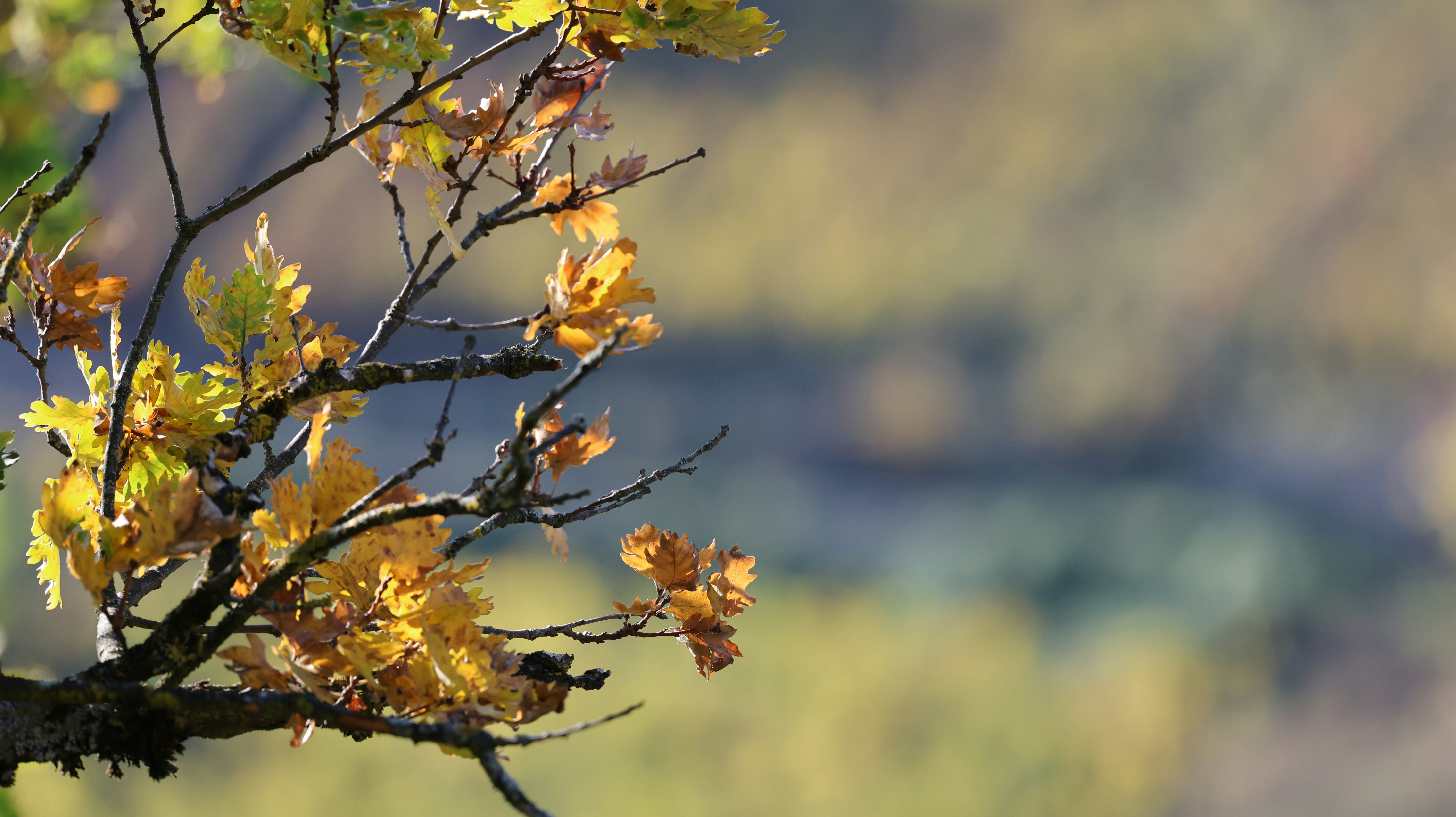 Photo by valomukitse