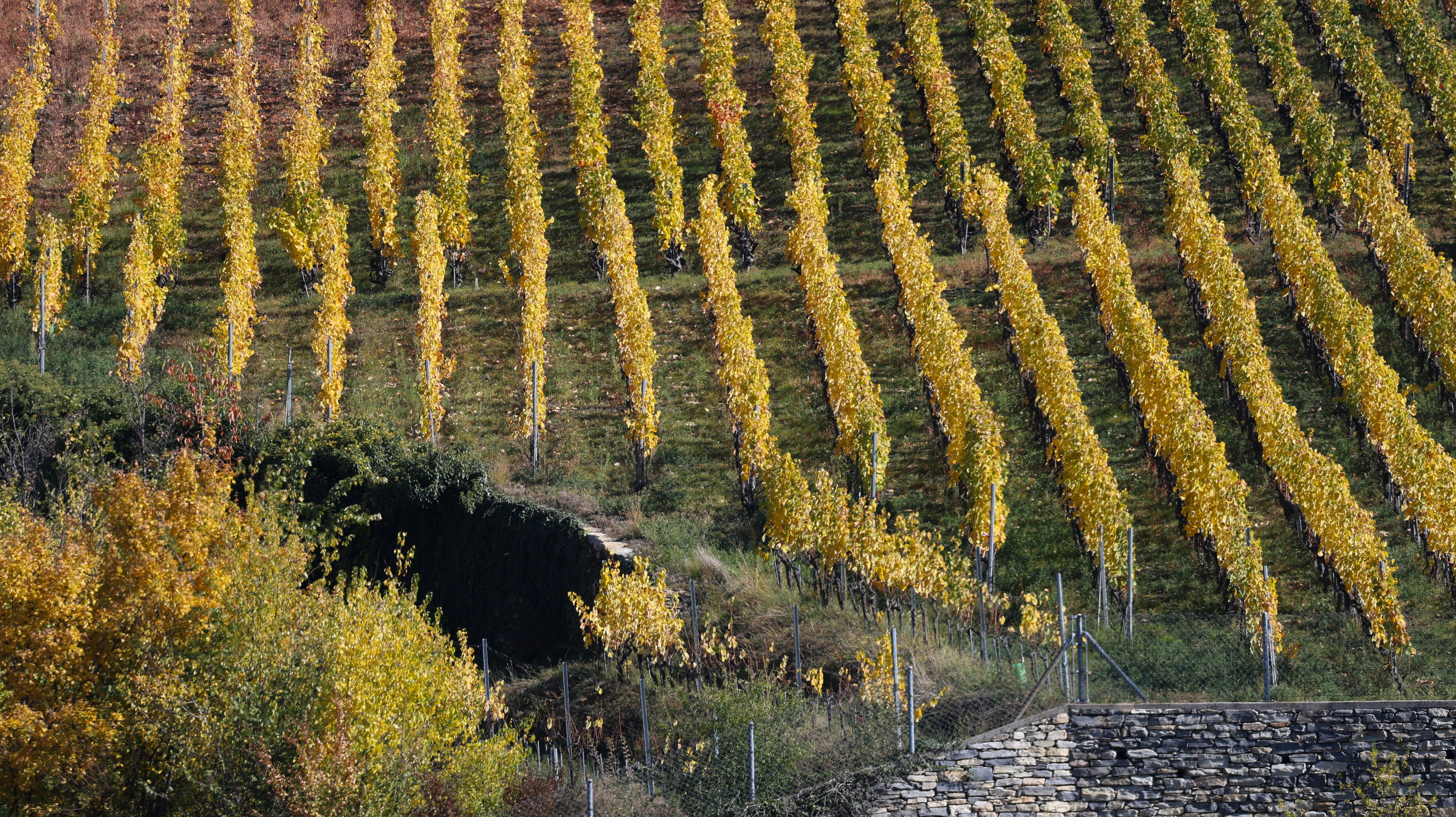 Photo by valomukitse