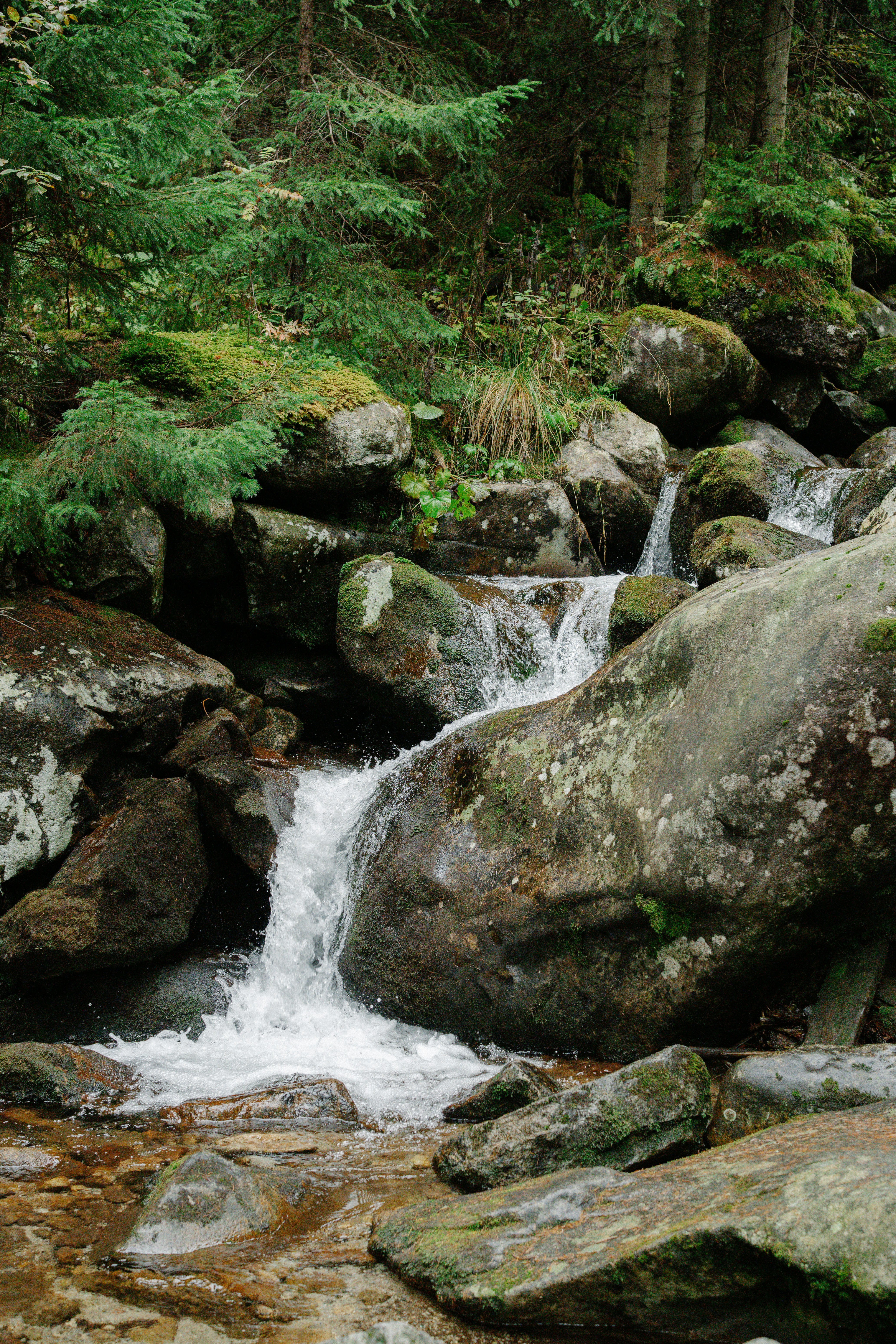 Photo by raymondpetrik