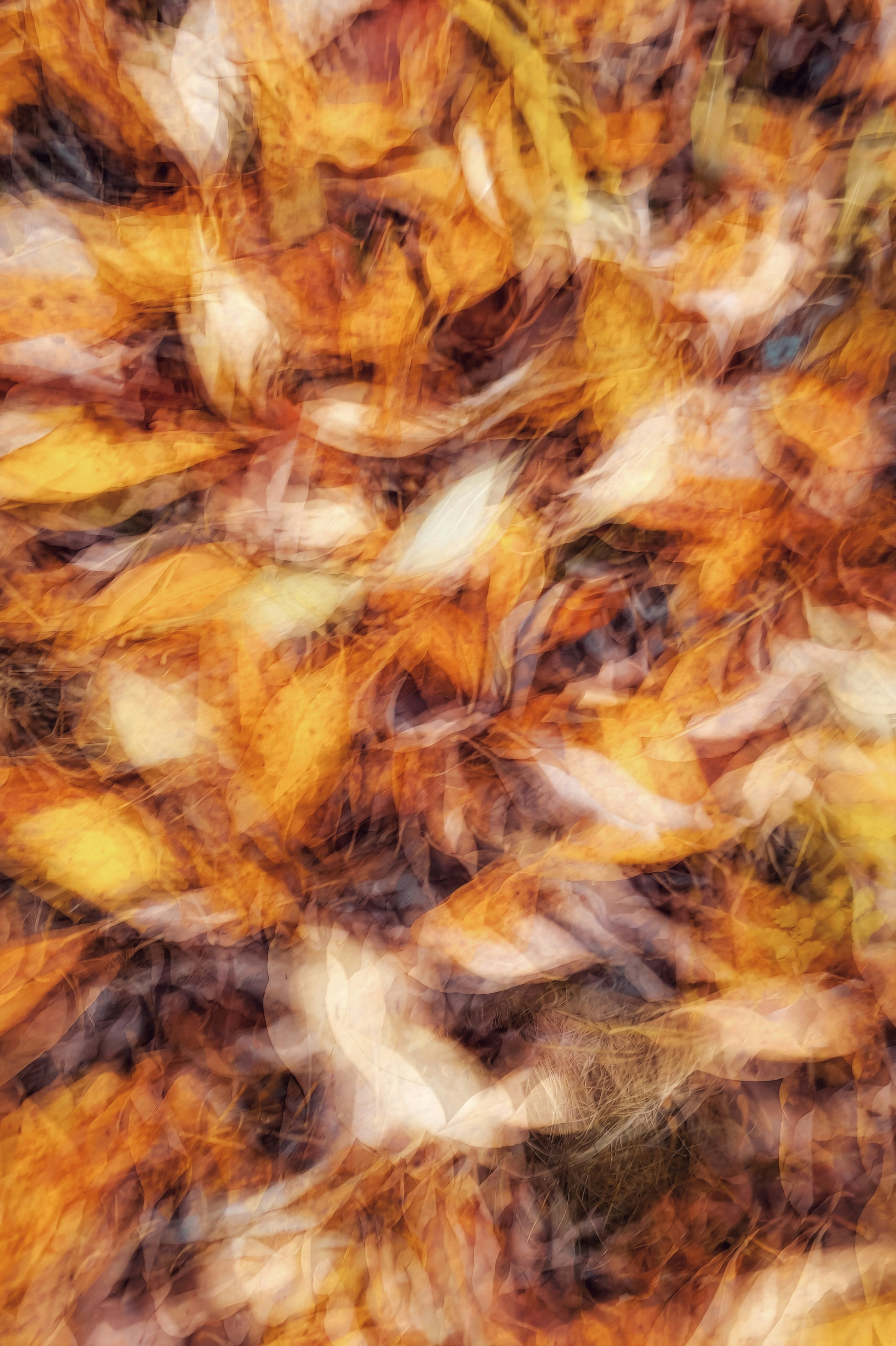 Photo by eugene_golovesov