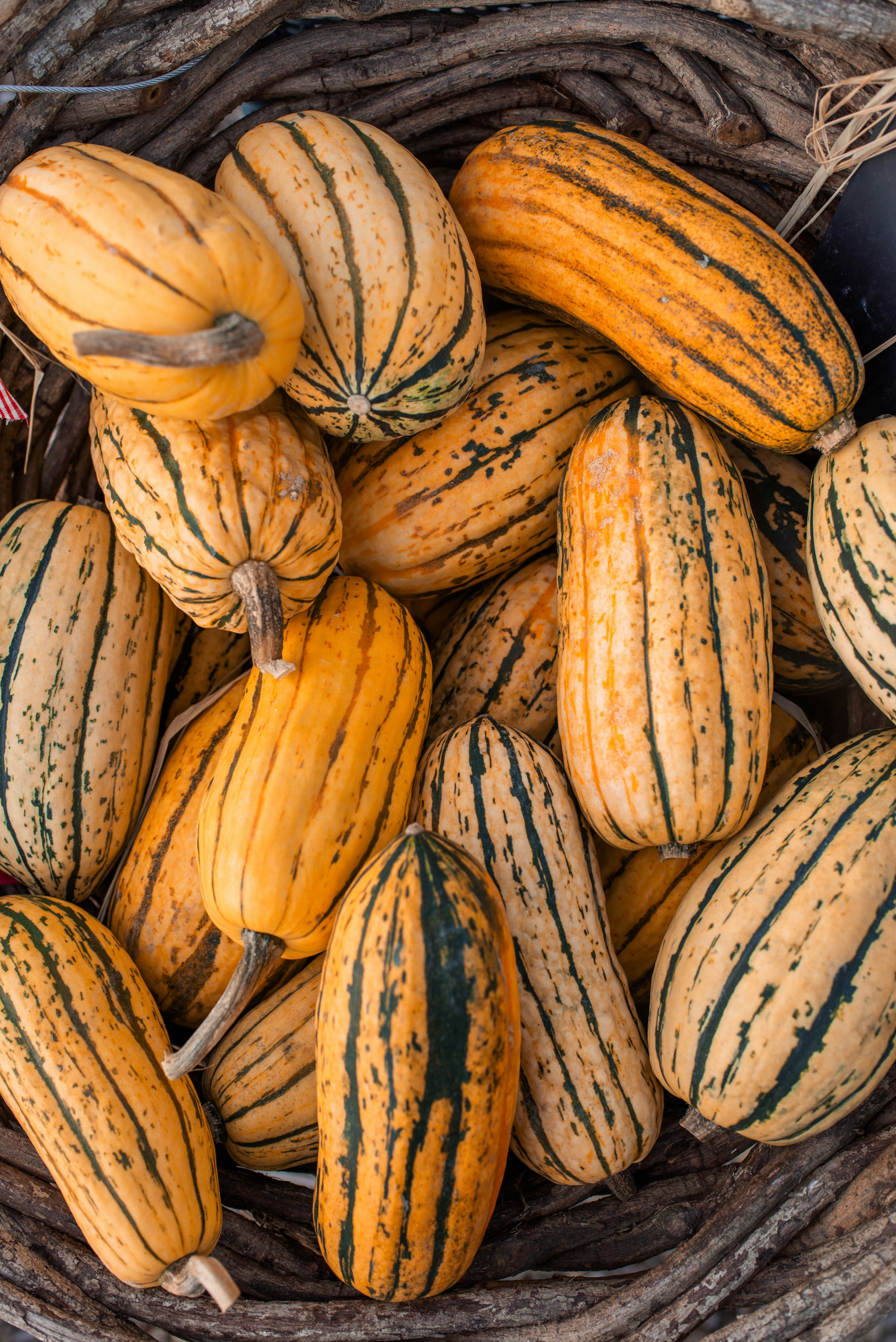 A basket full of striped delicata squash