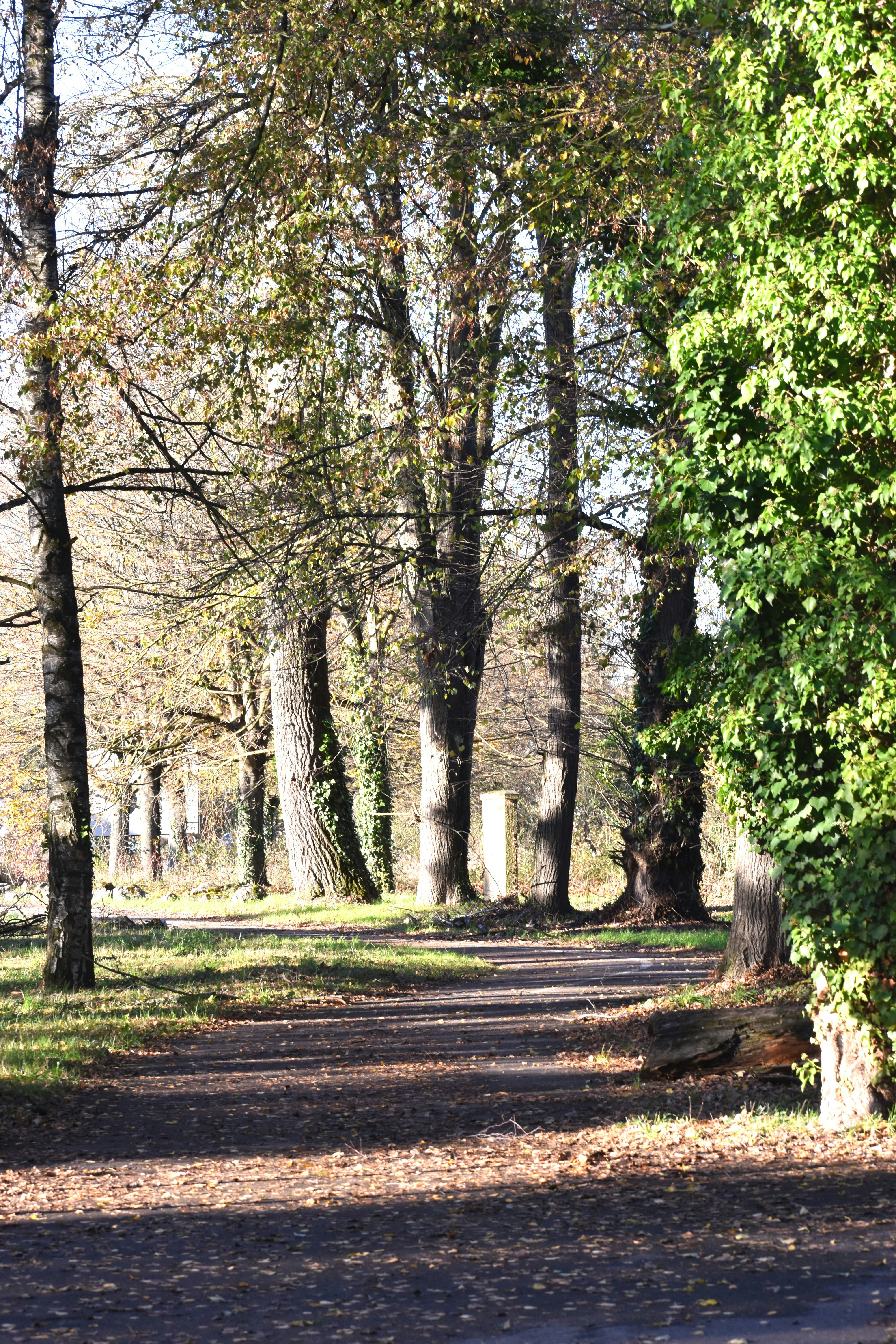 Photo by danielelarosa