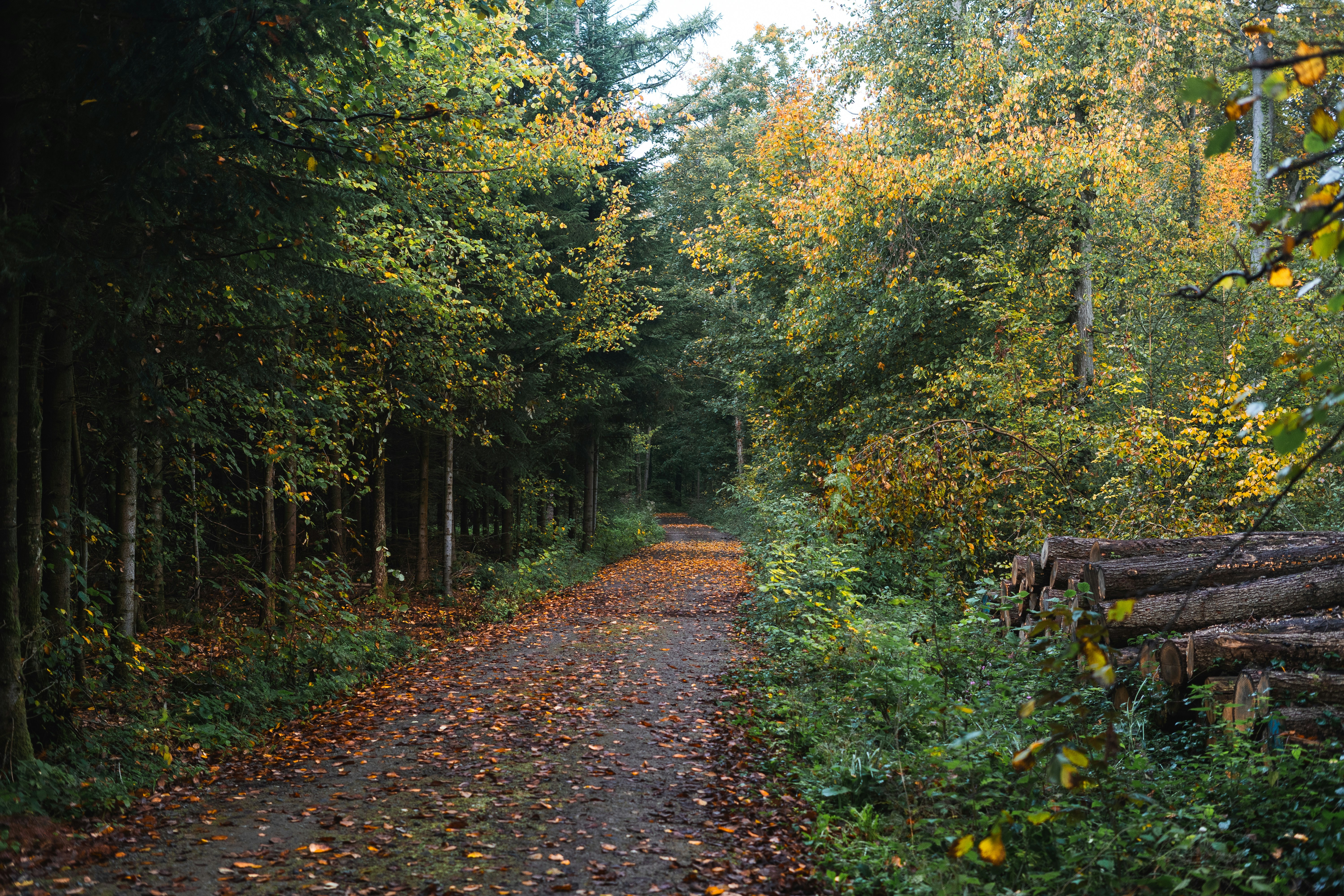 Photo by visualsbying