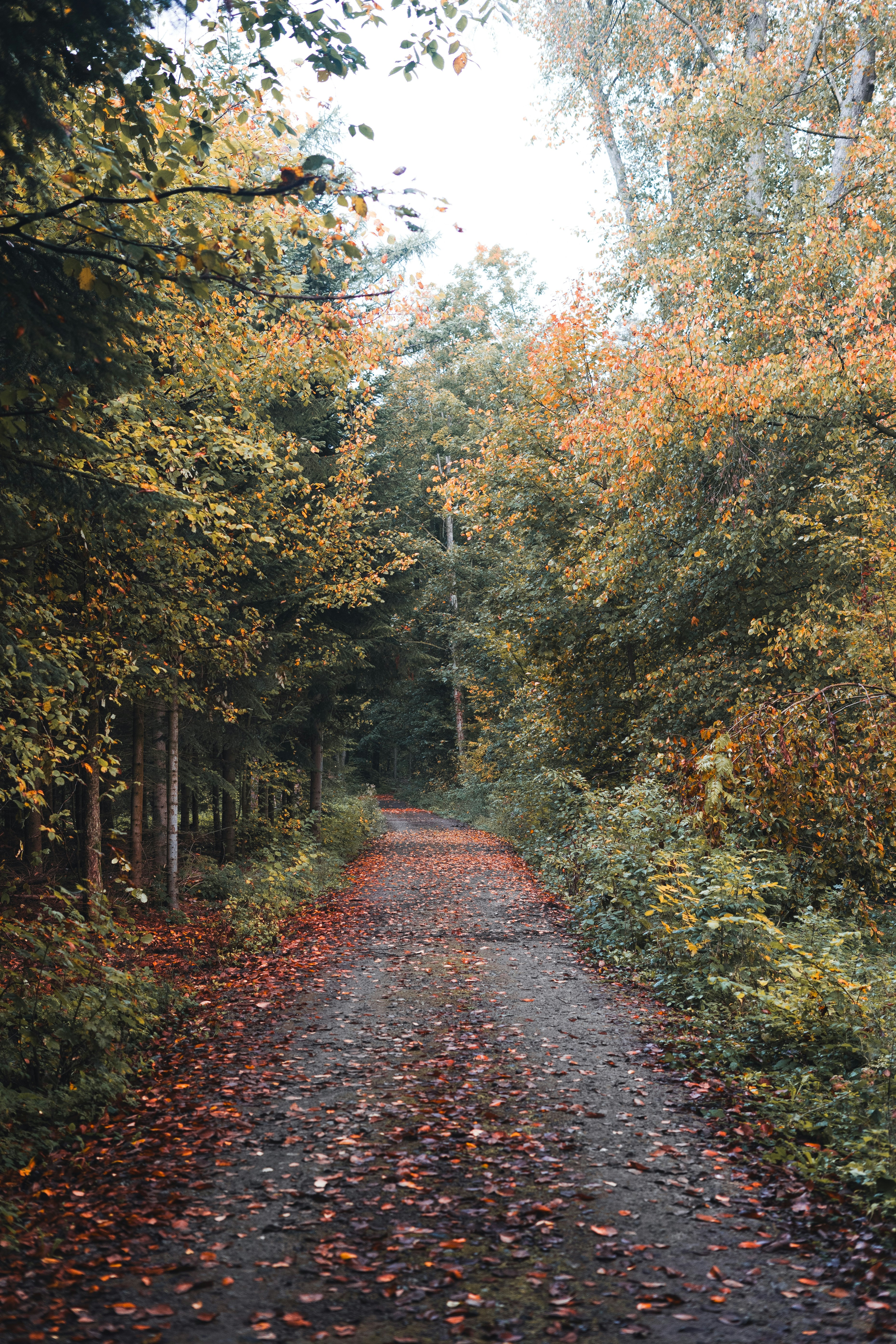 Photo by visualsbying