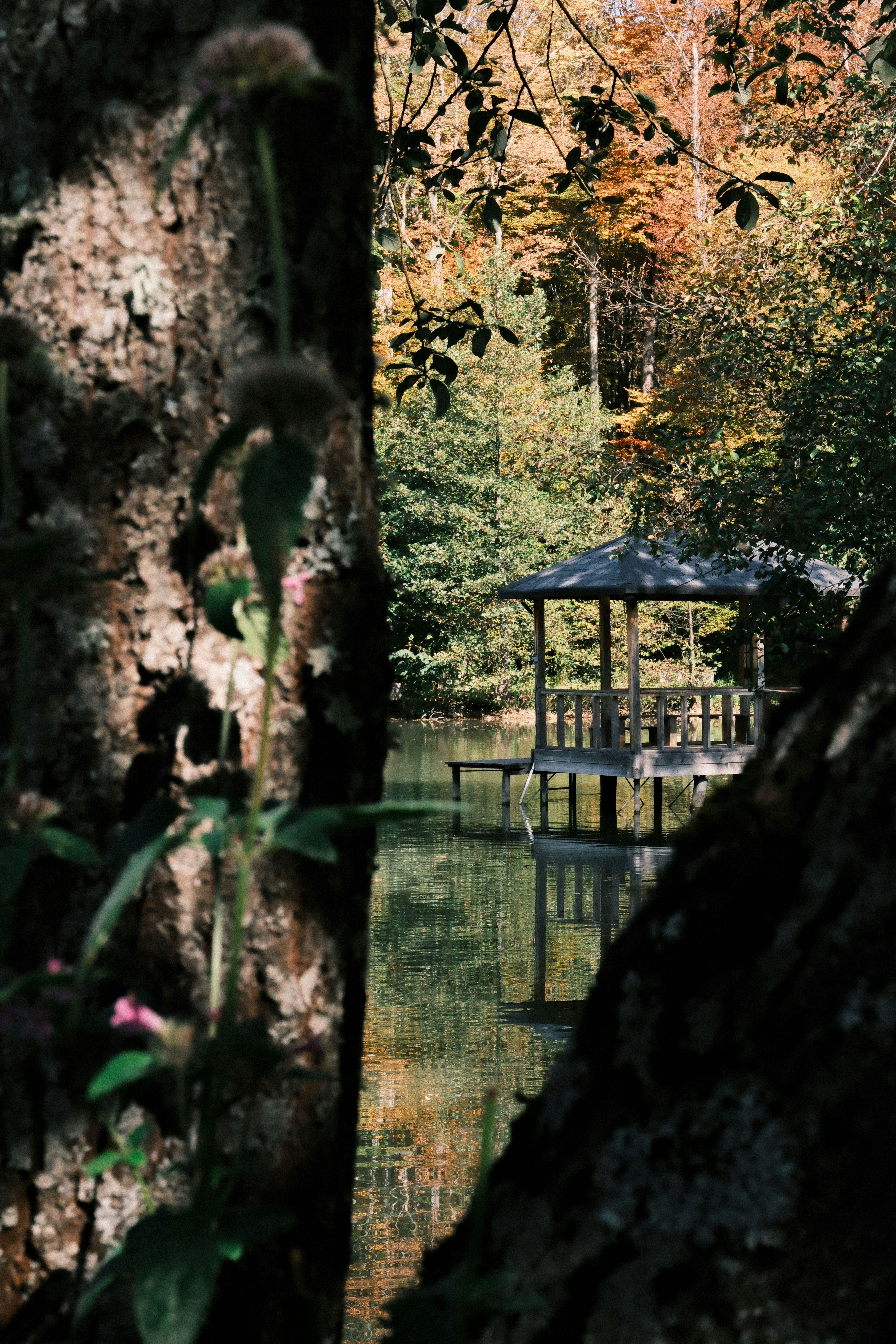 Photo by nikan_tanya