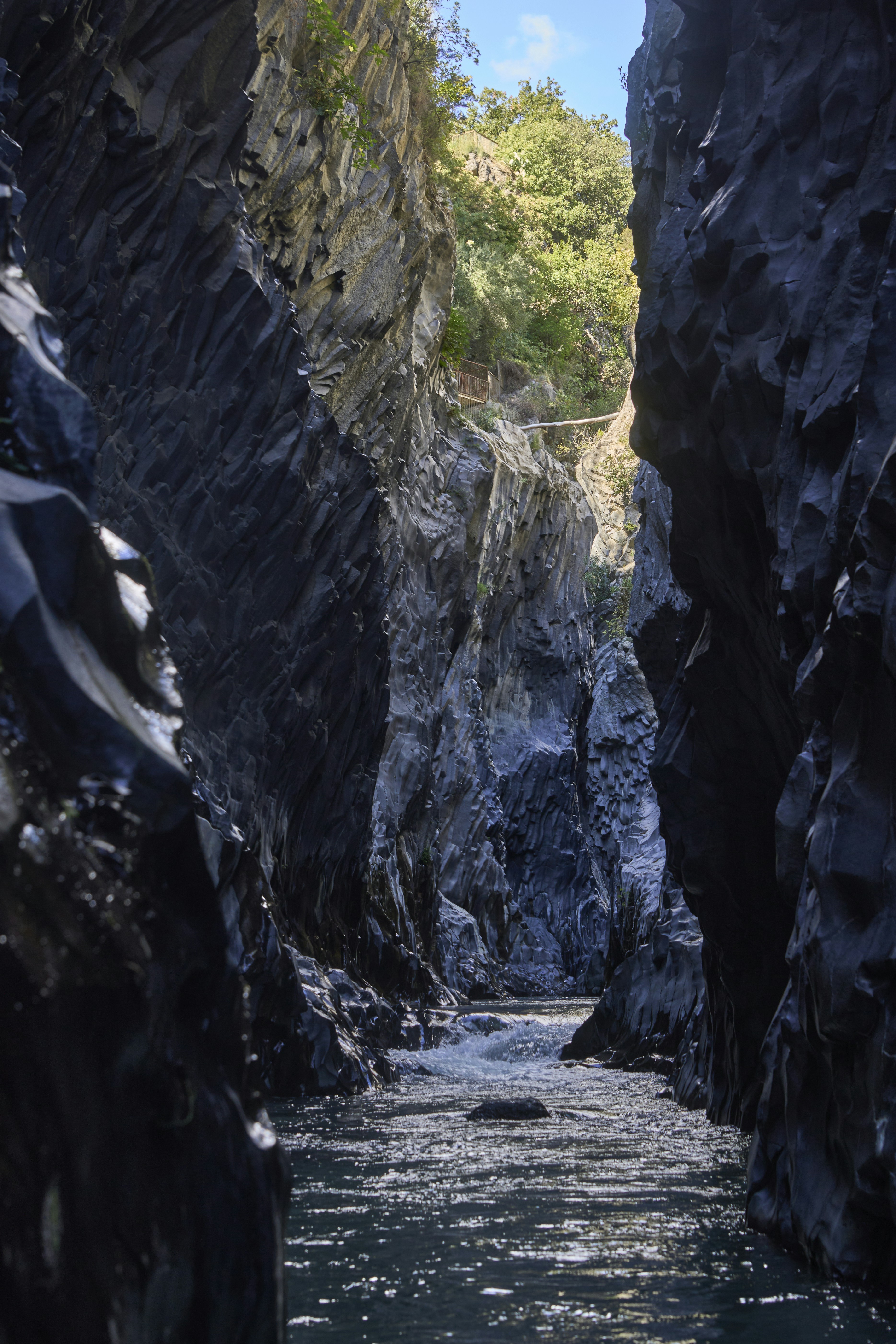 Photo by wolfgang_hasselmann