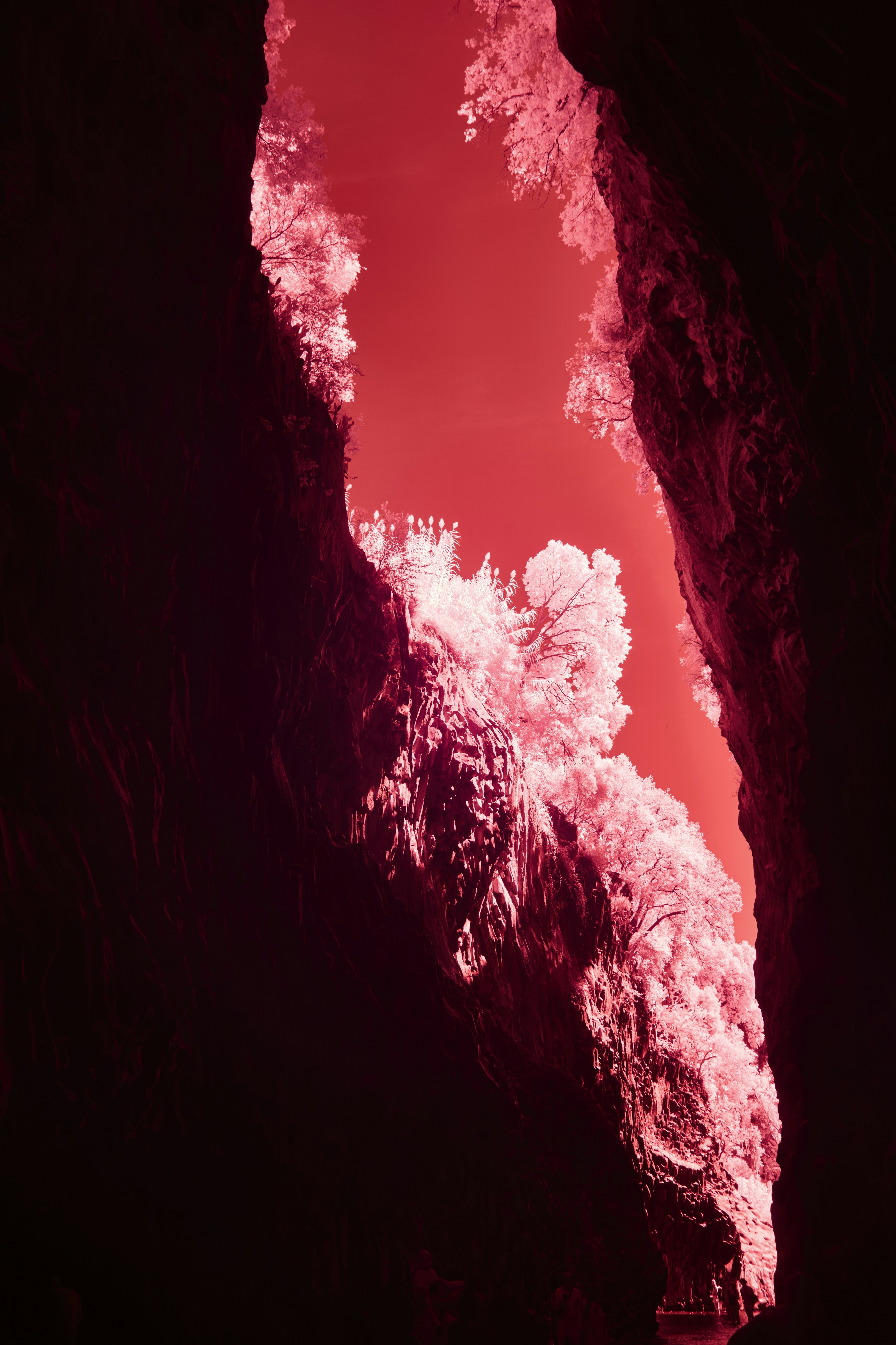 View through a canyon with red sky and trees